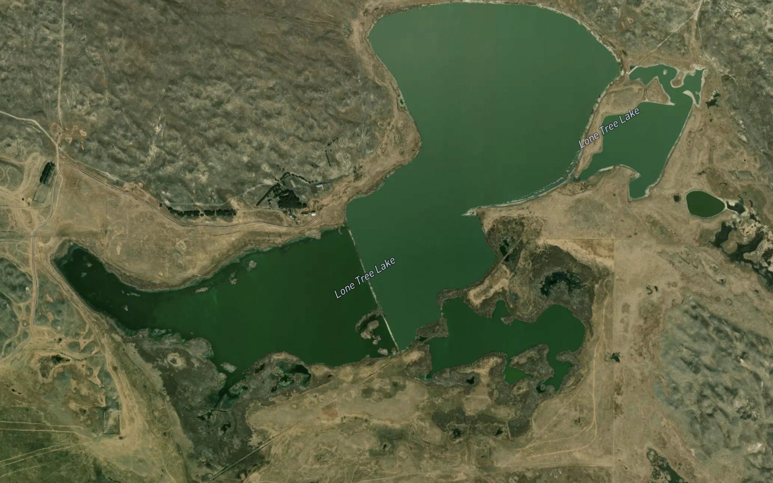 Lone Tree Lake