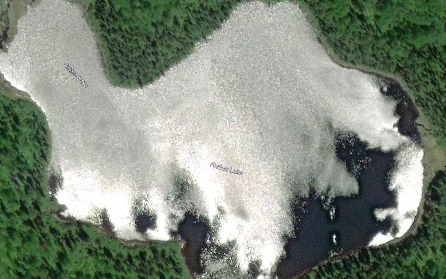Satellite map of the Forbes Lake