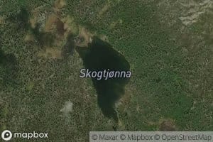 Skogtjonna
