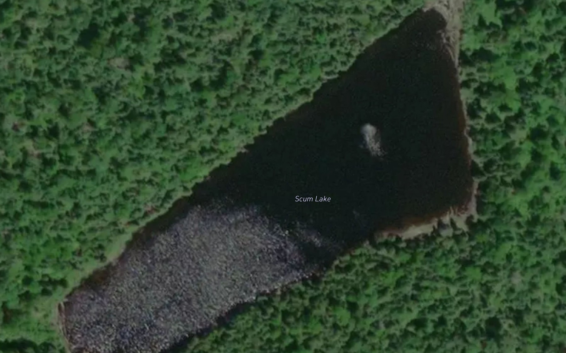 Satellite map of the Scum Lake
