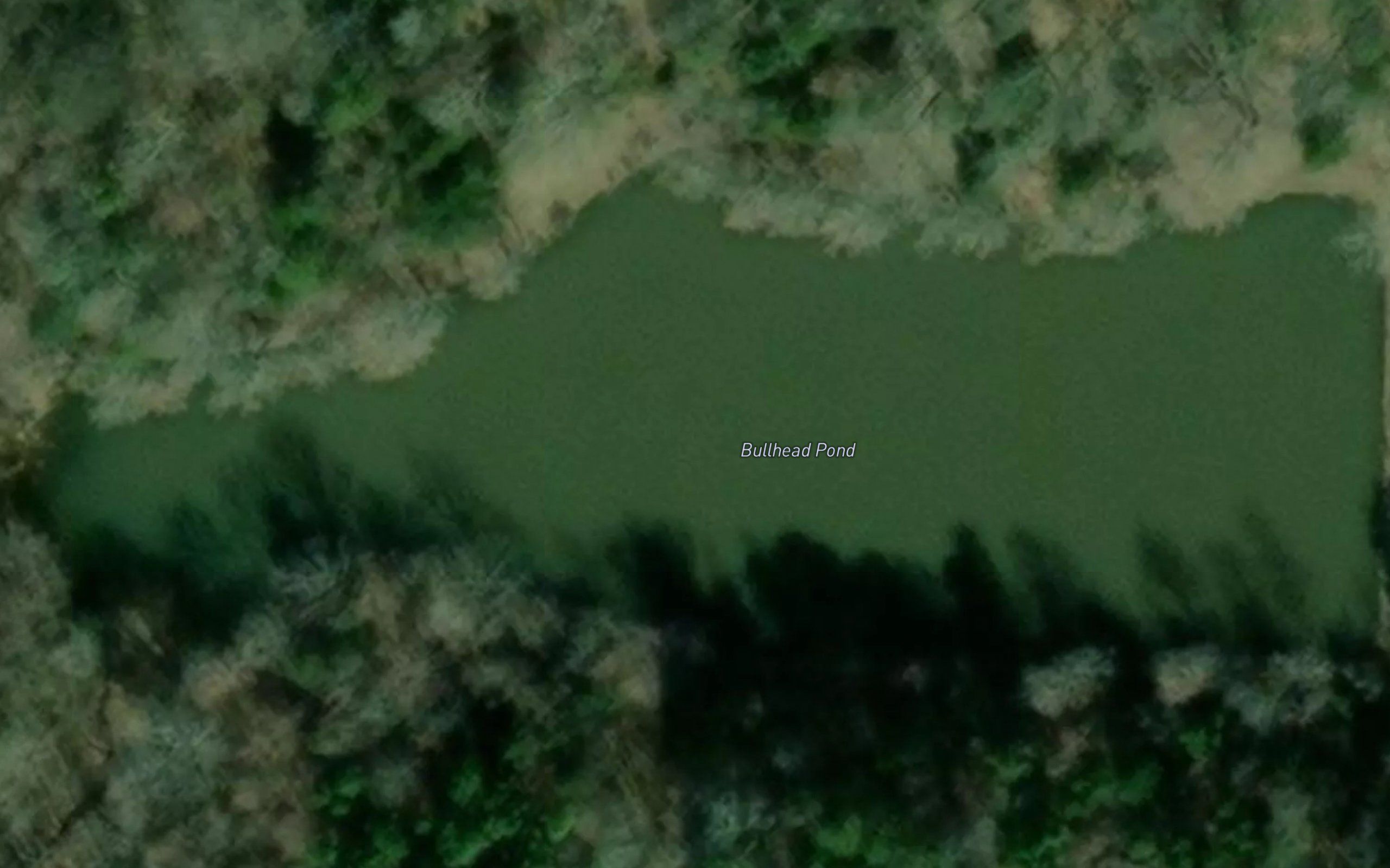 Bullhead Pond