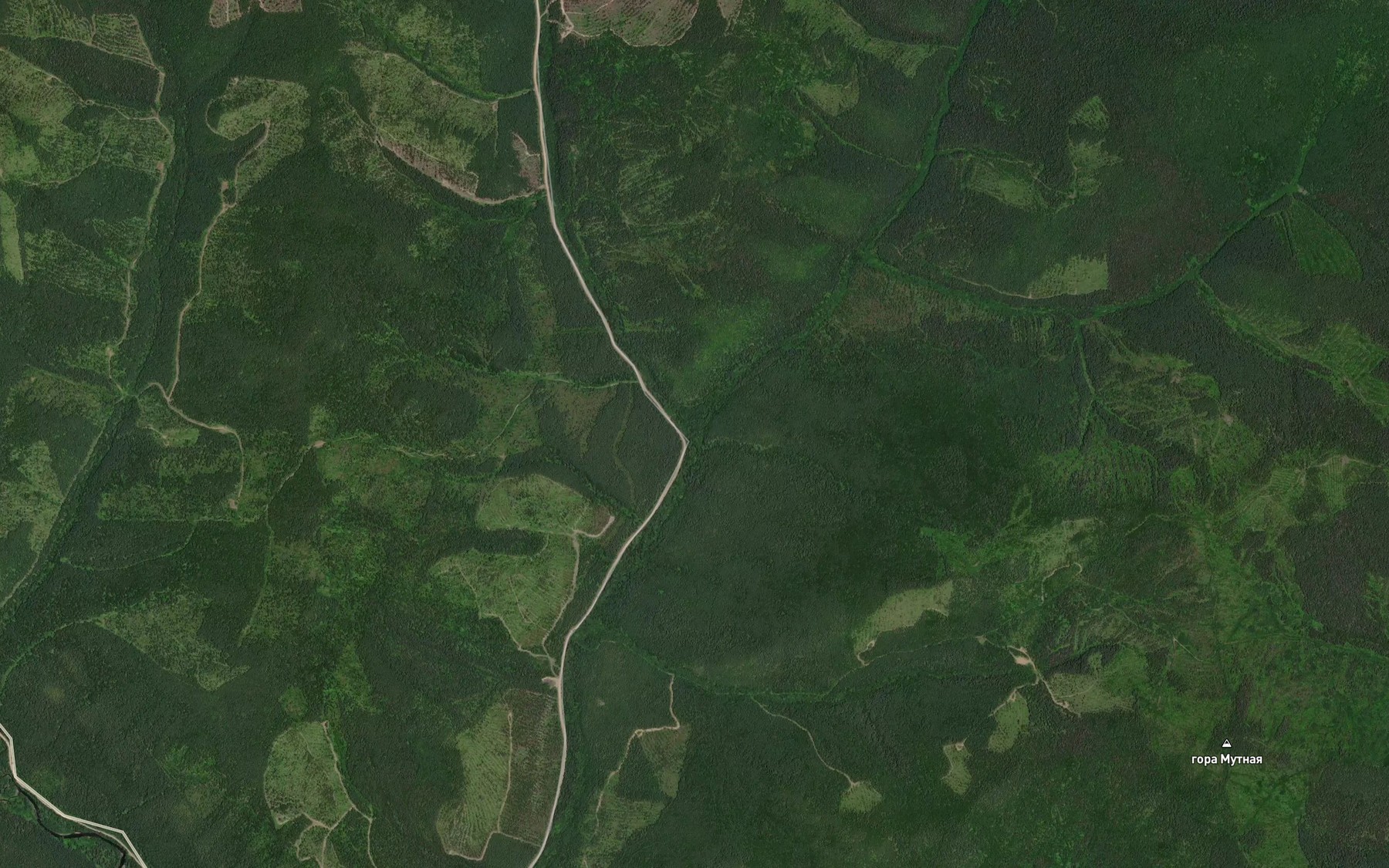 Satellite map of the Dorozhnyy