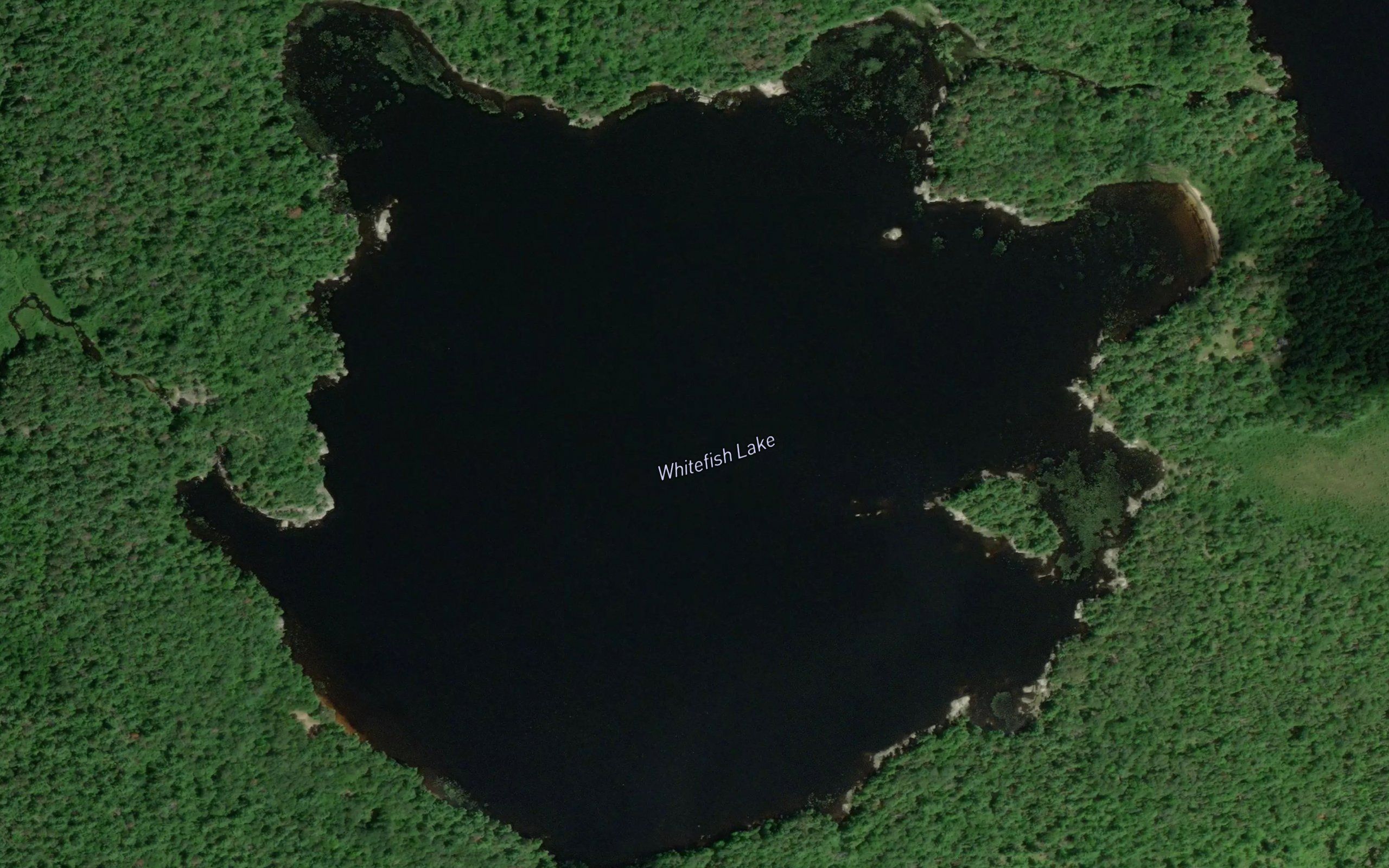 Whitefish Lake