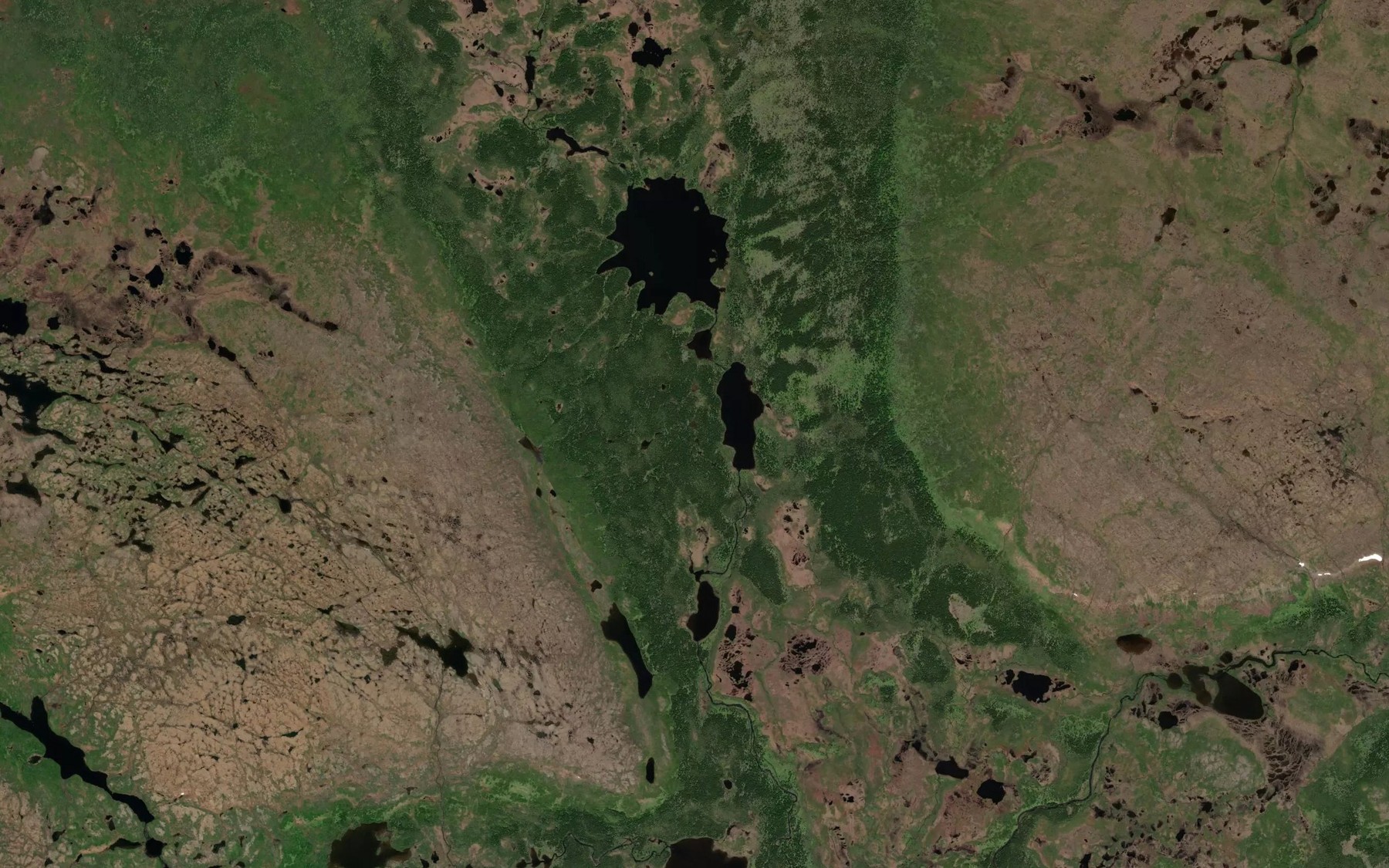Satellite map of the First Pond