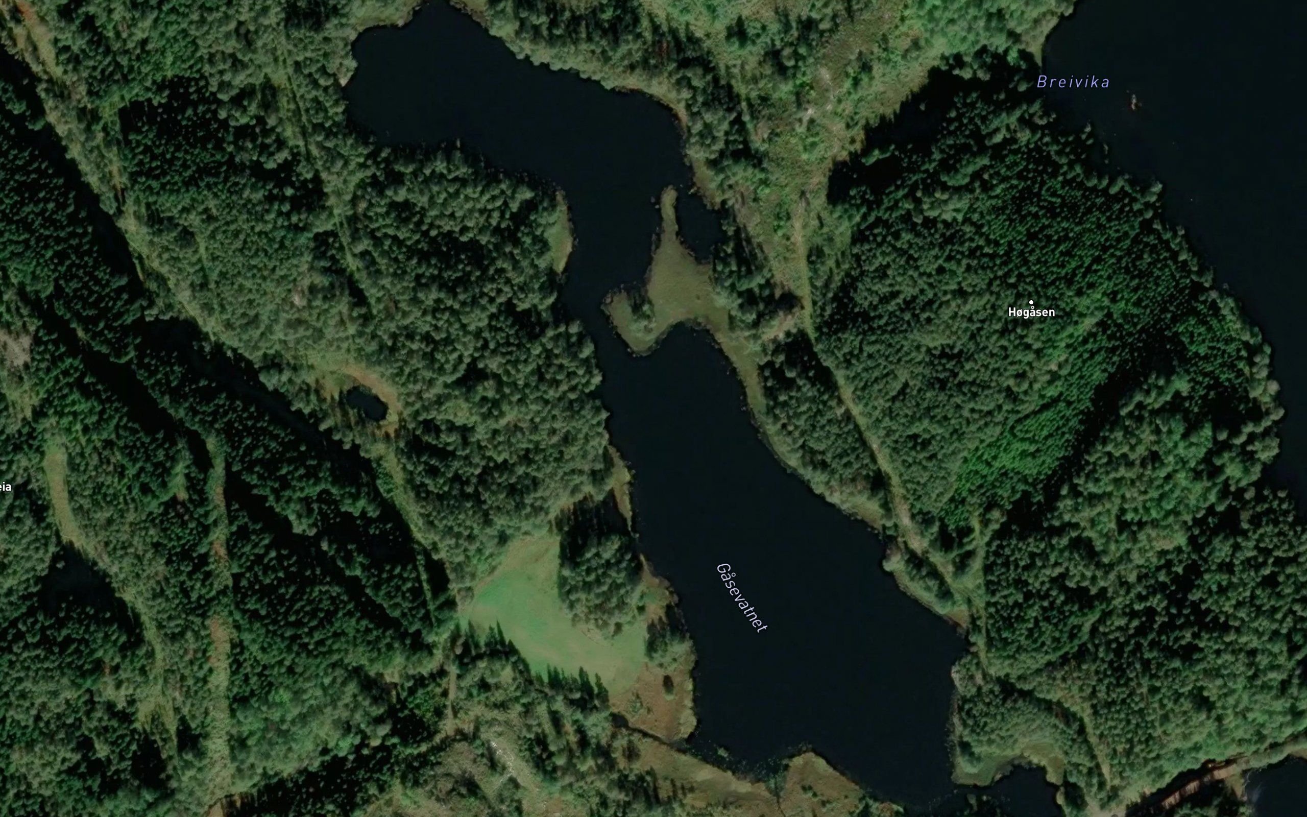 Gasevannet