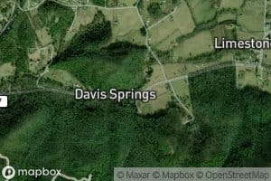 Davis Springs