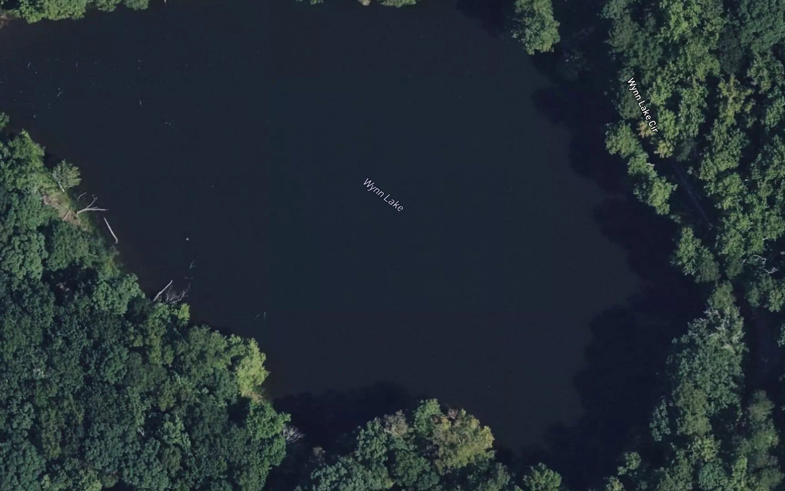 Wynn Lake