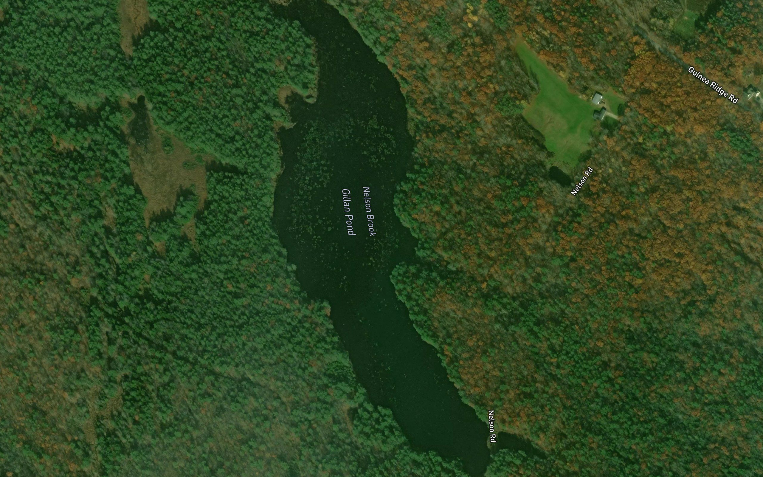 Gillan Pond