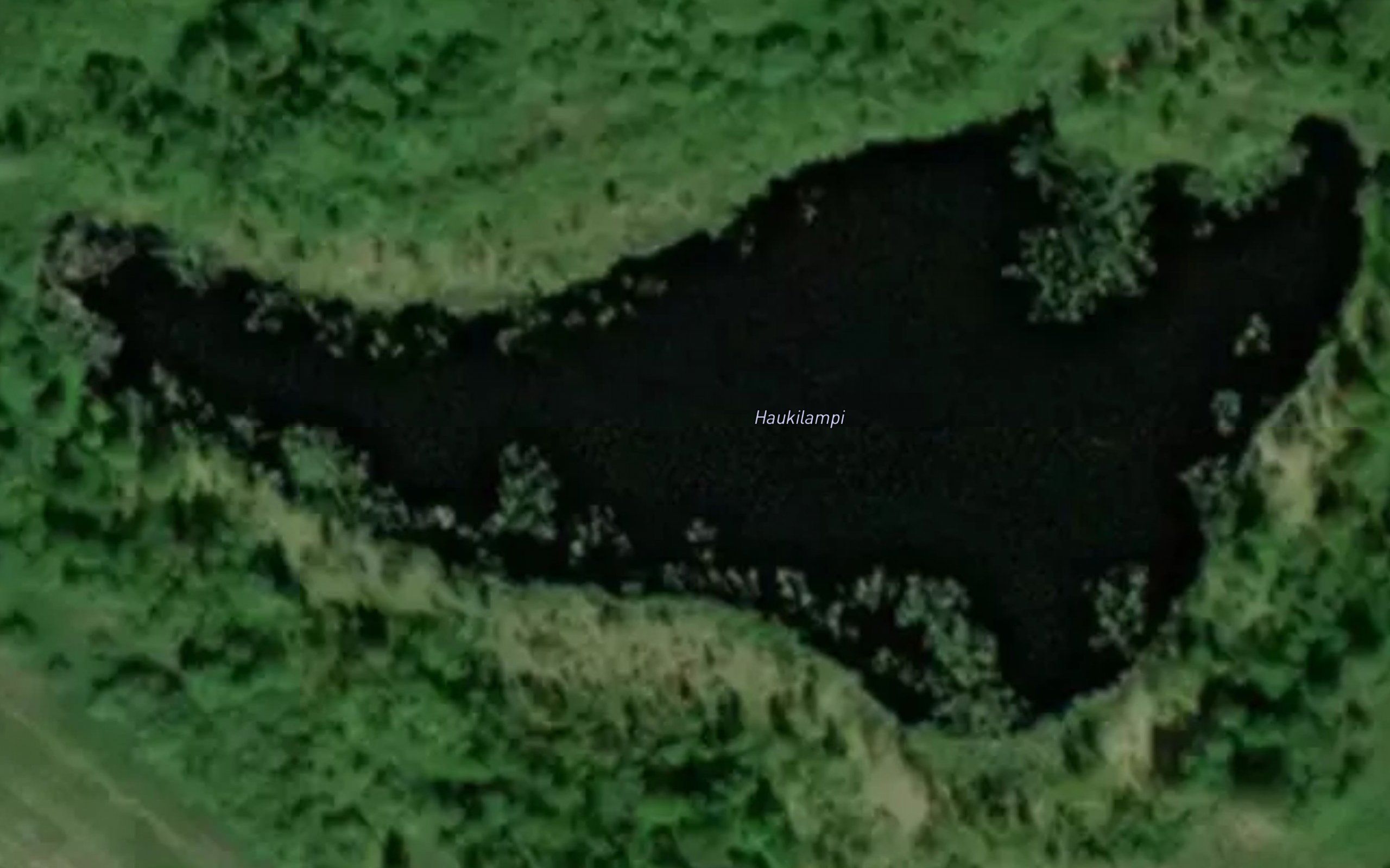 Haukilampi