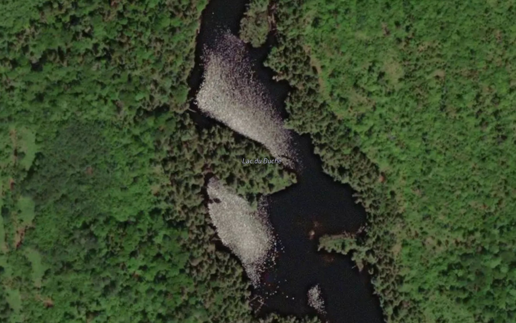Satellite map of the Lac du Duche