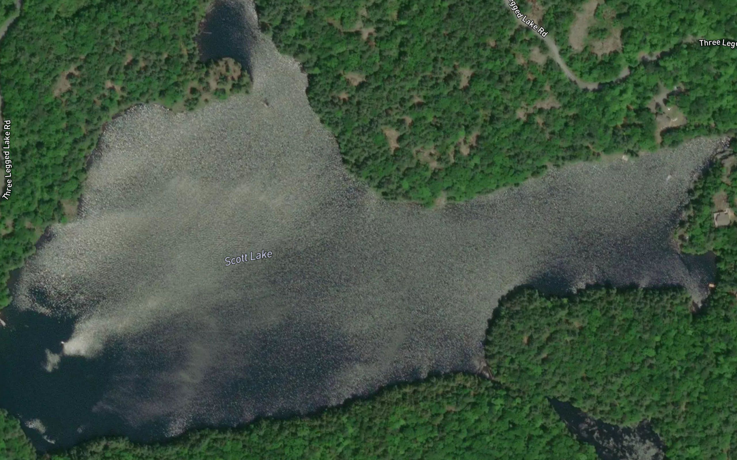 Scott Lake