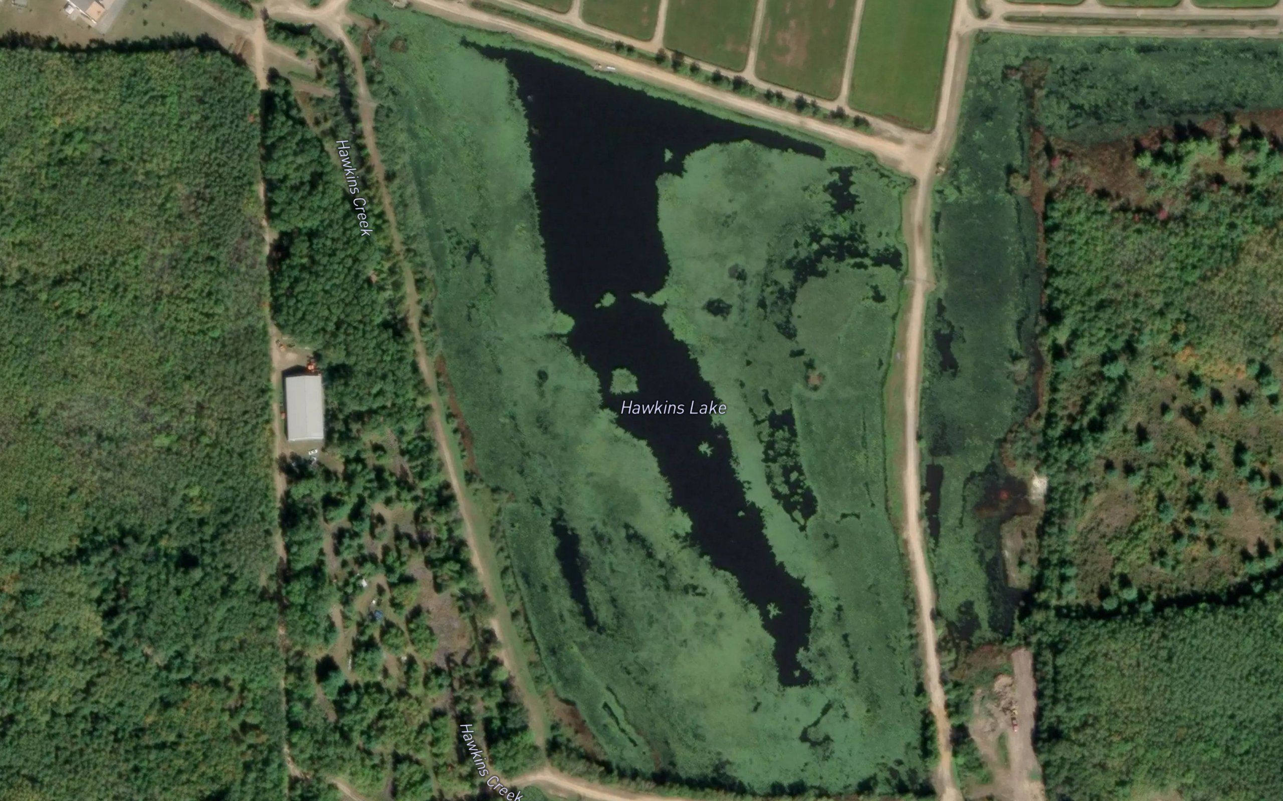 Hawkins Lake