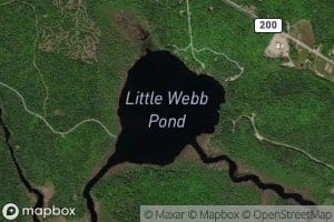 Little Webb Pond