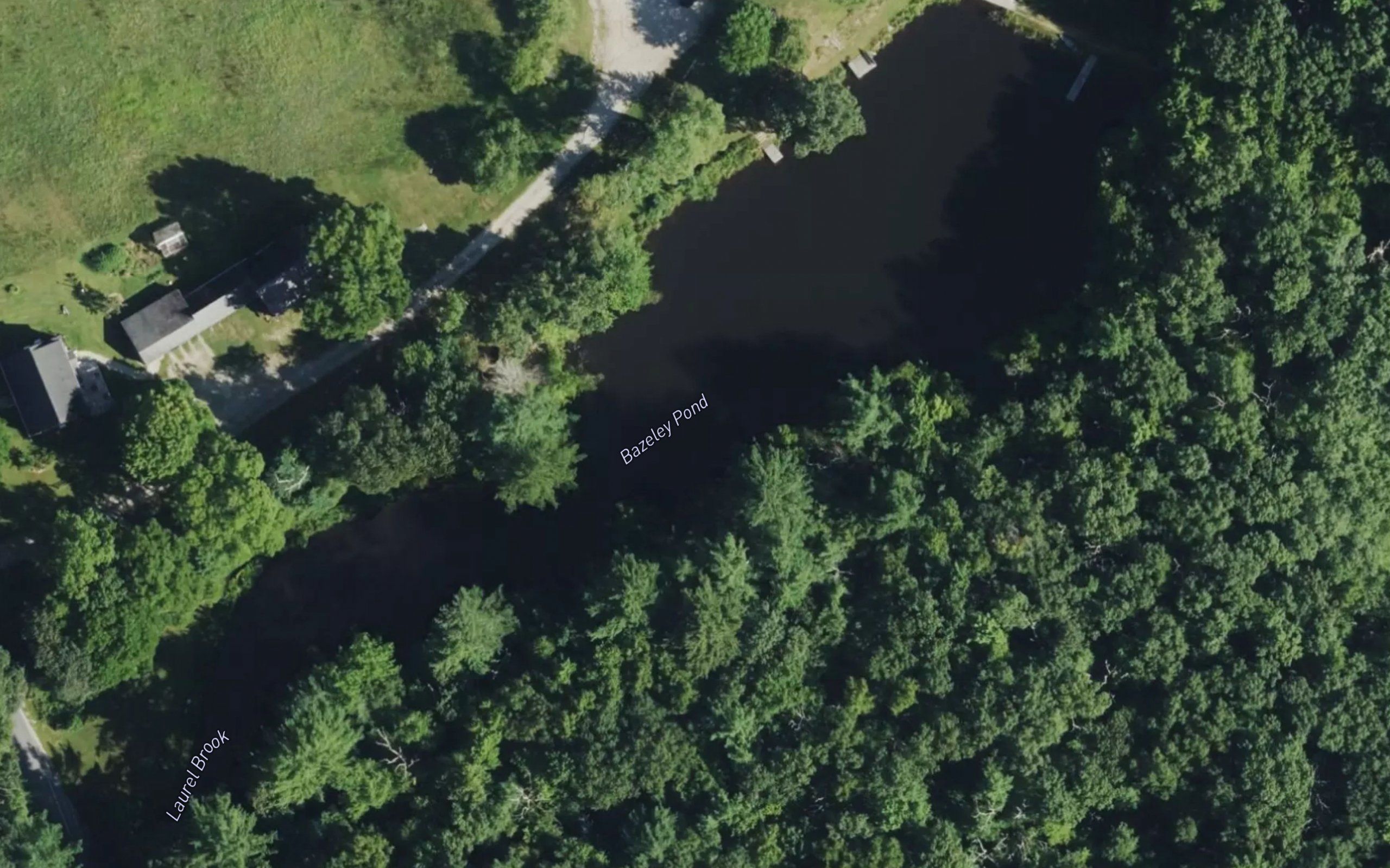 Bazeley Pond