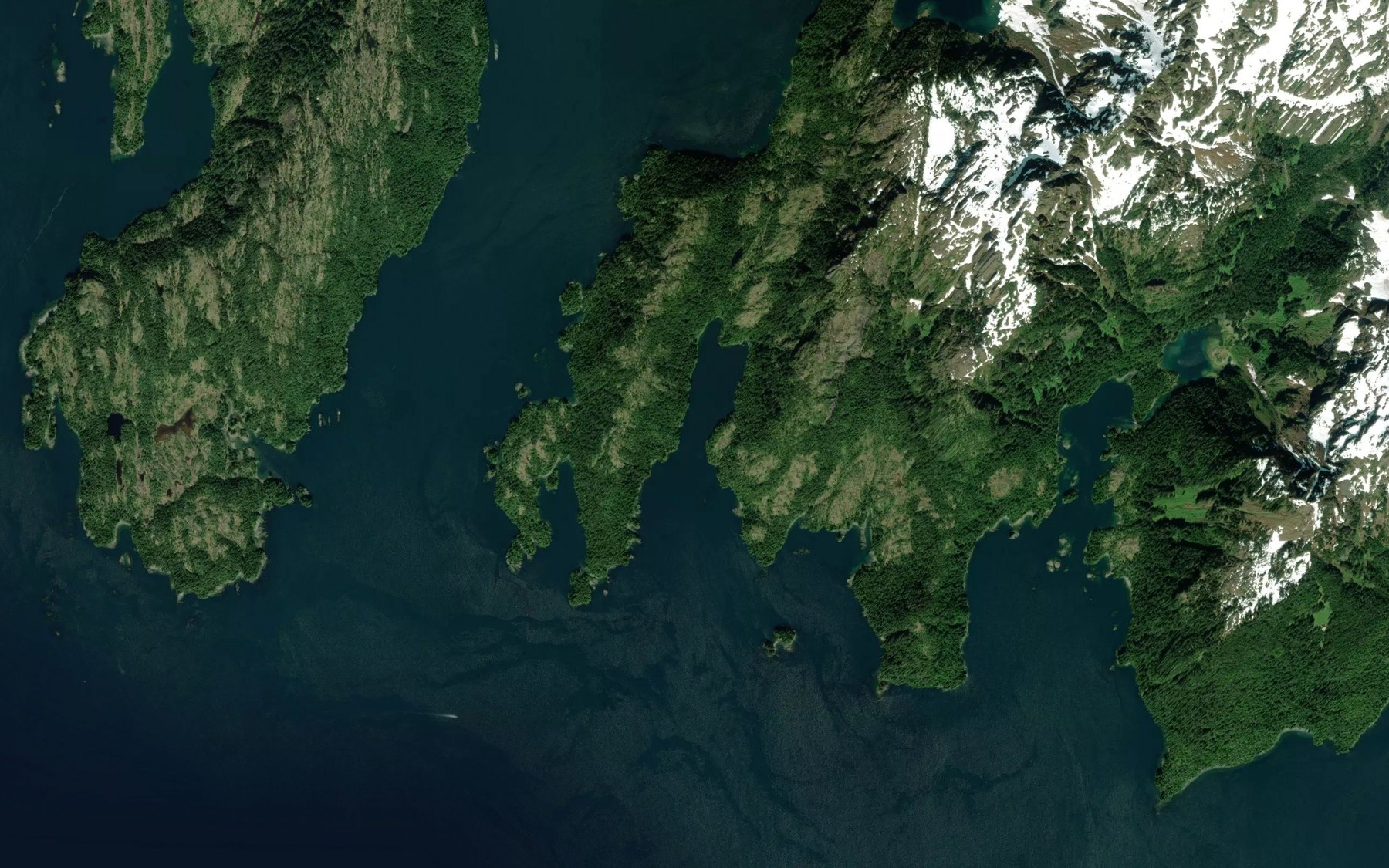 Satellite map of the Italian Bay