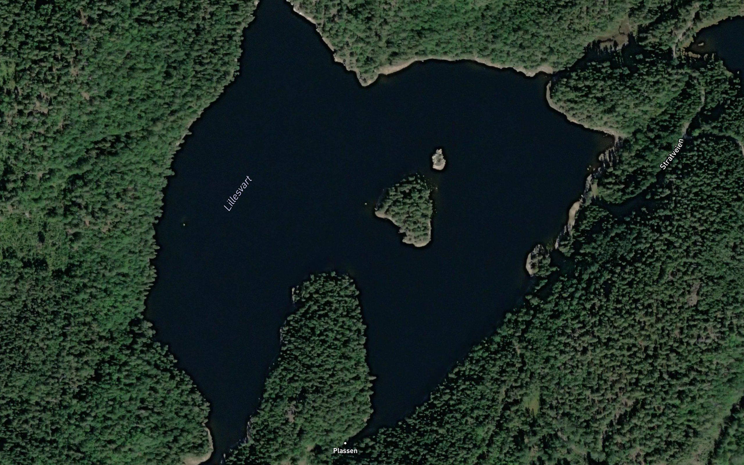 Lillesvart