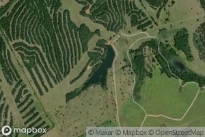Wolf Lake
