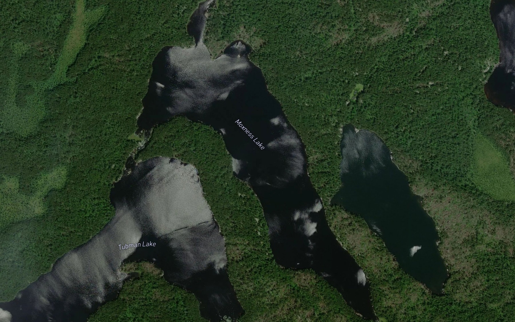 Satellite map of the Moxness Lake