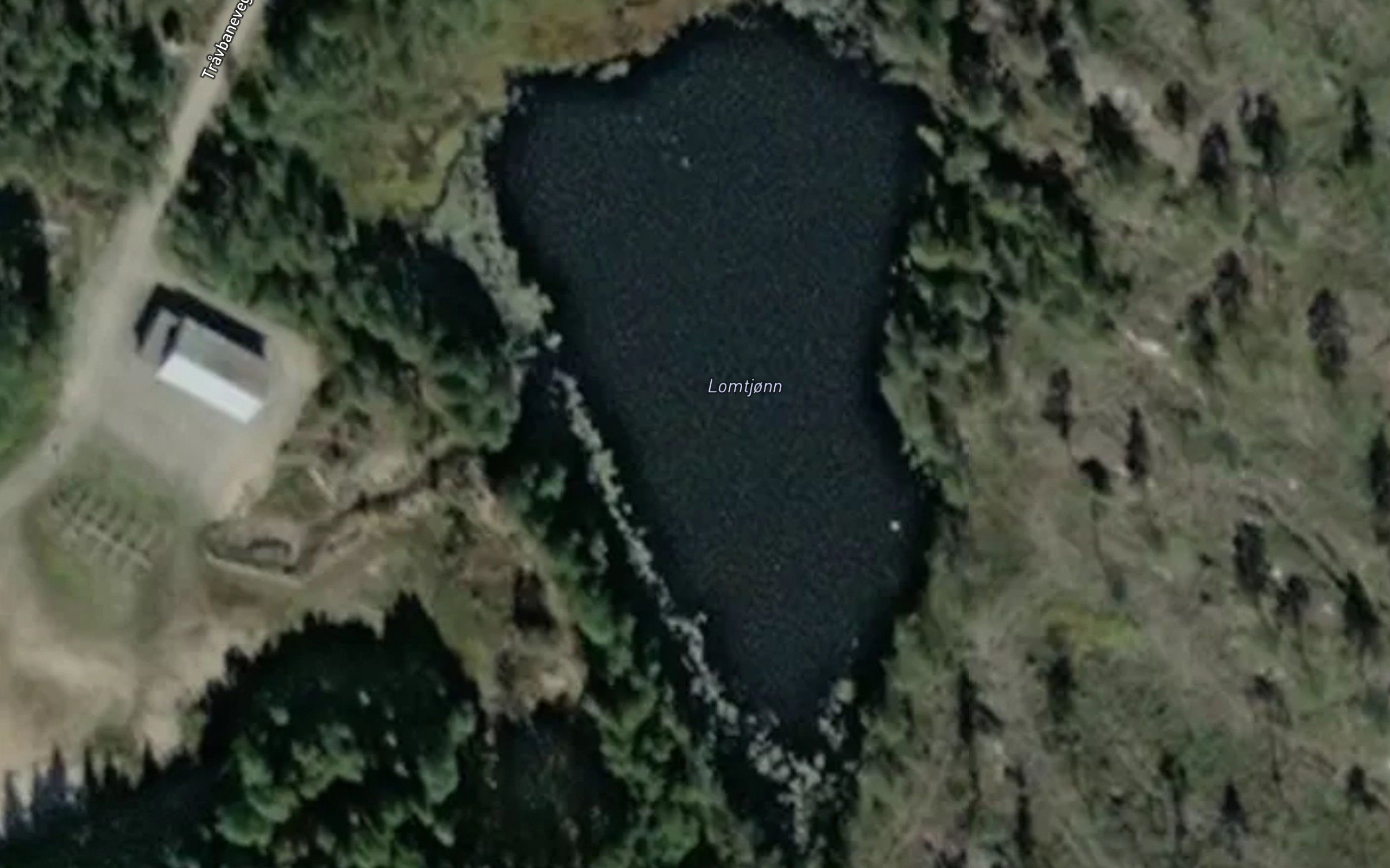 Lomtjonn