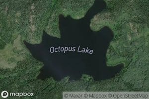 Octopus Lake