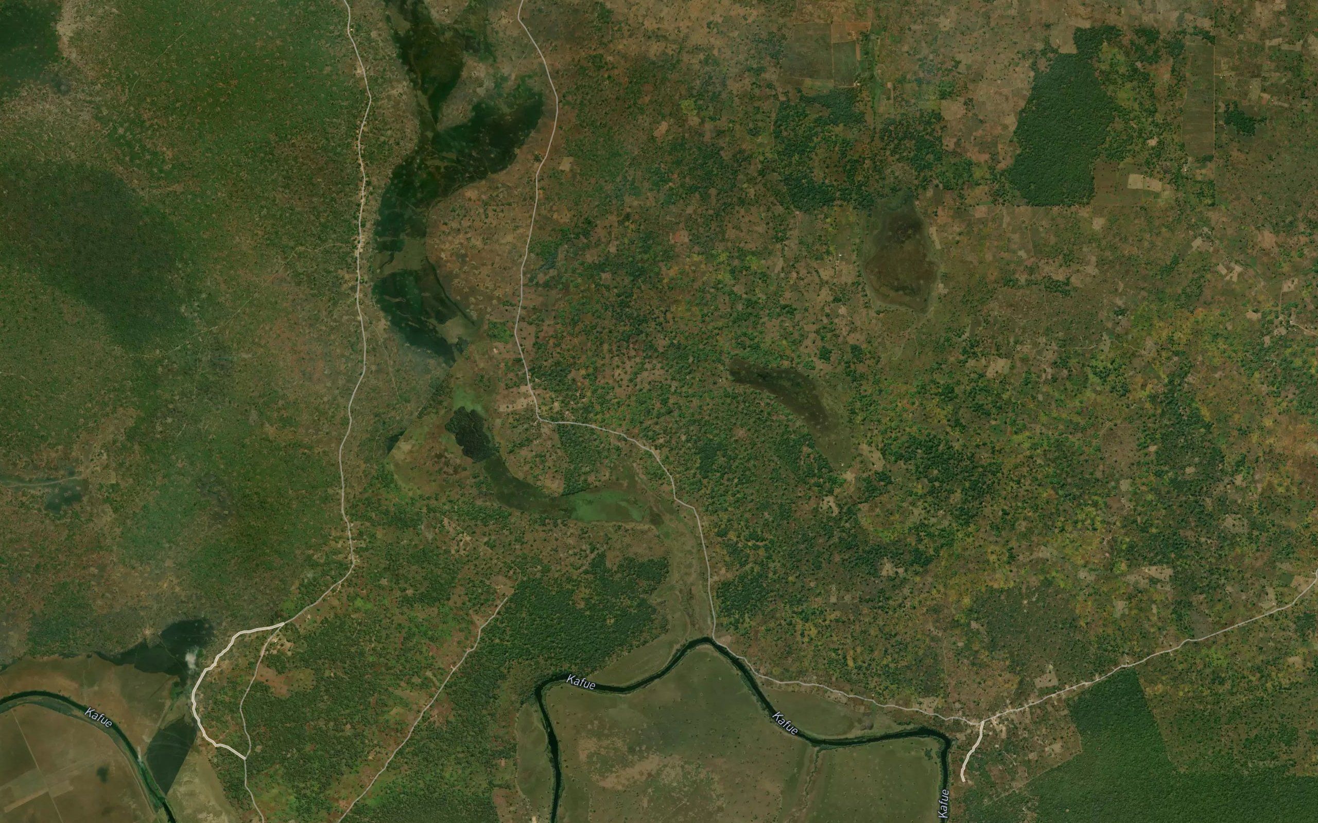 Kanenga