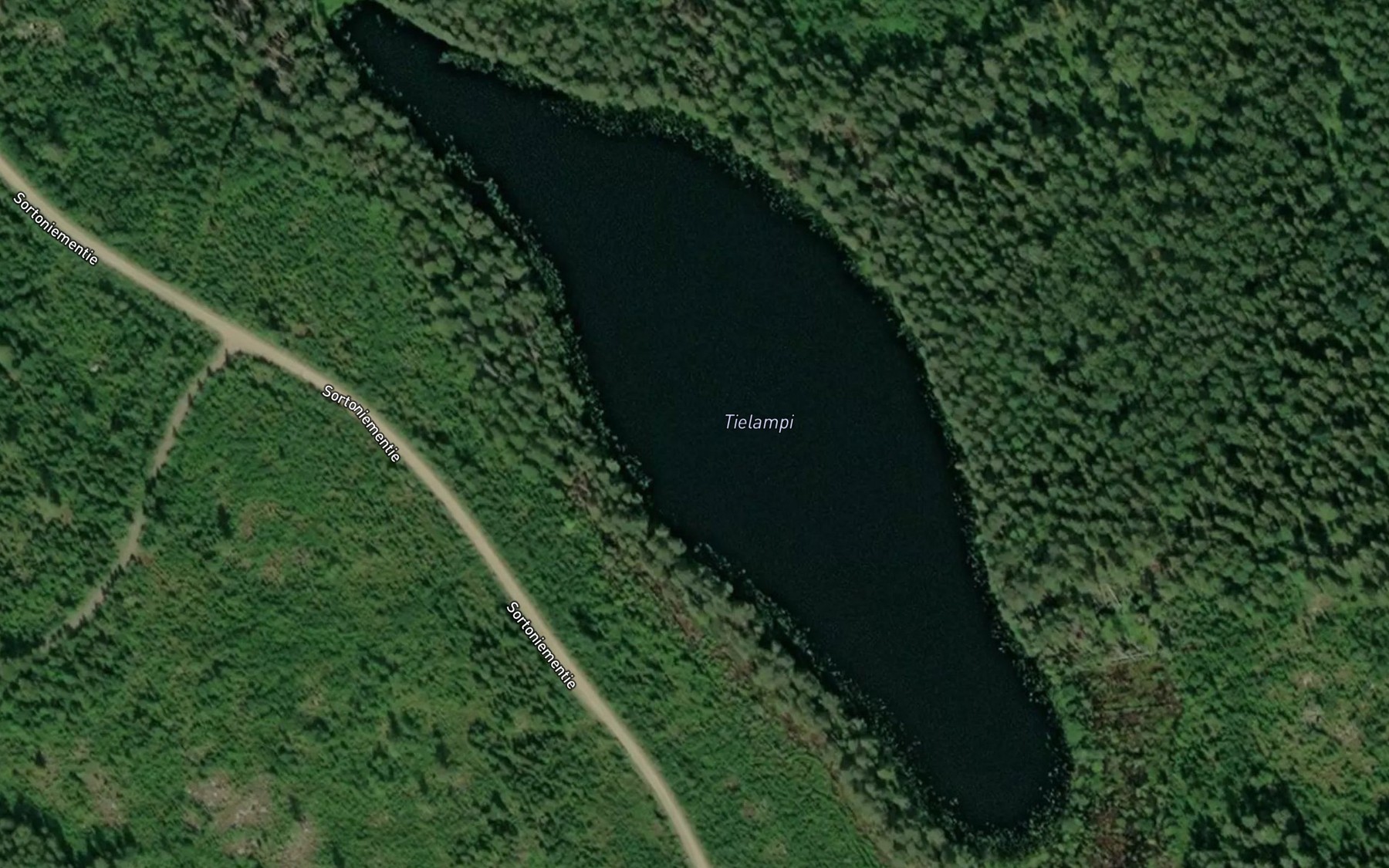 Satellite map of the Tielampi