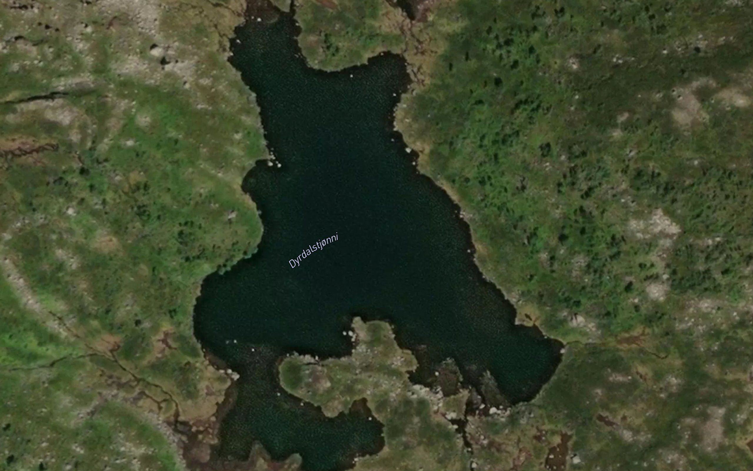 Dyrdalstjorni