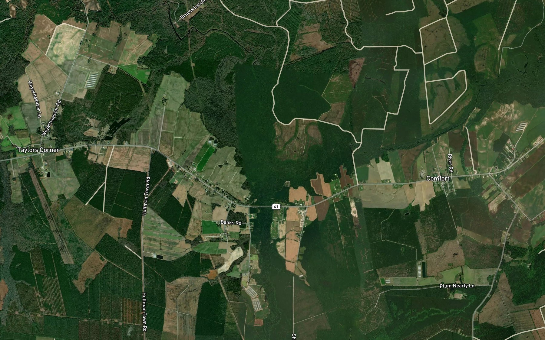 Satellite map of the Reedy Branch