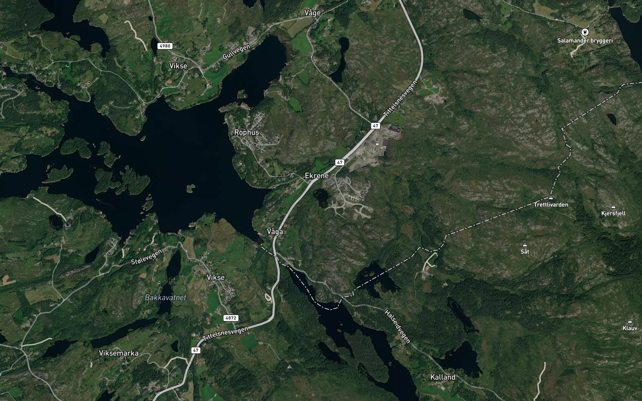 Gjeringstjorn