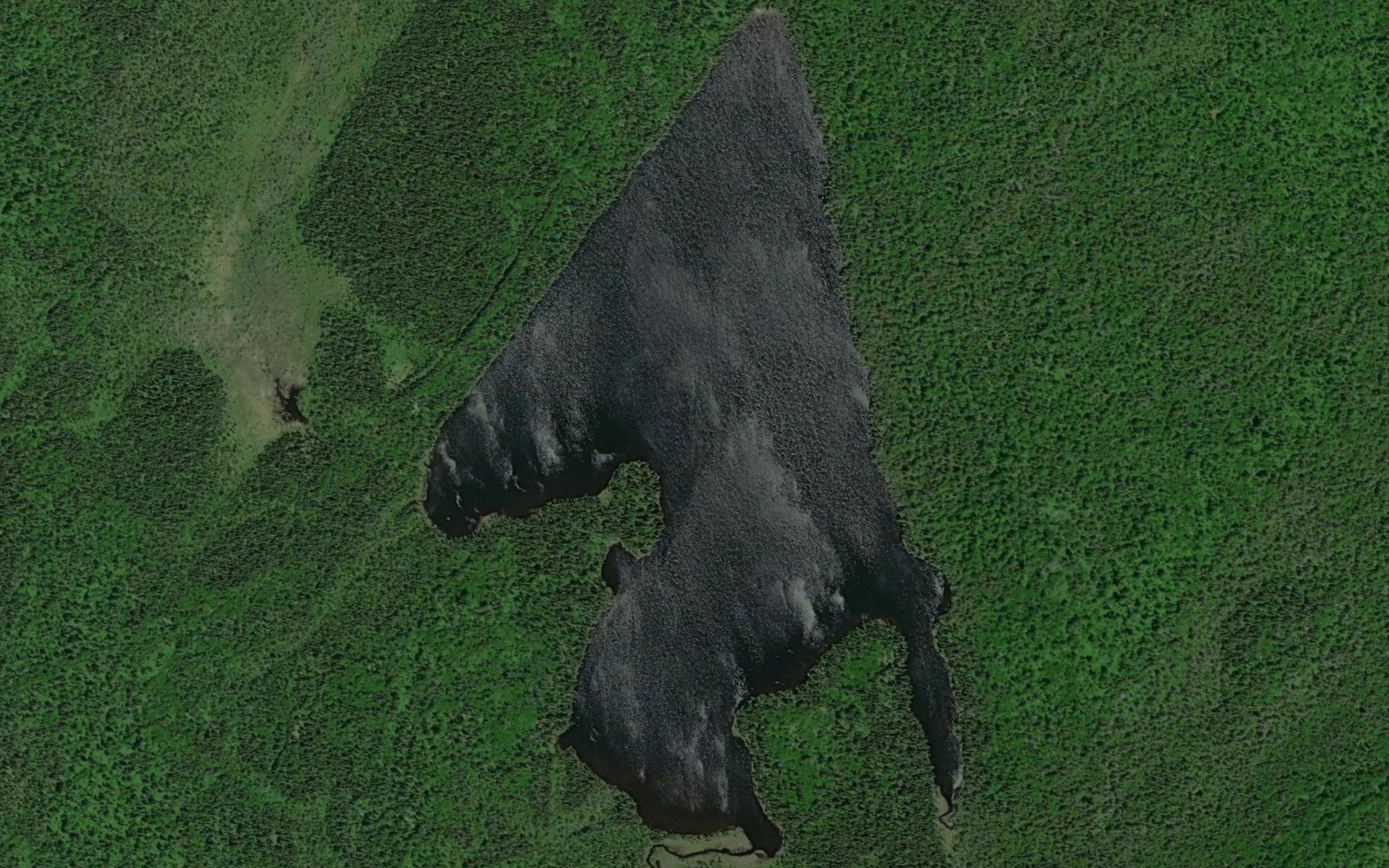 Satellite map of the Wigwam Lake