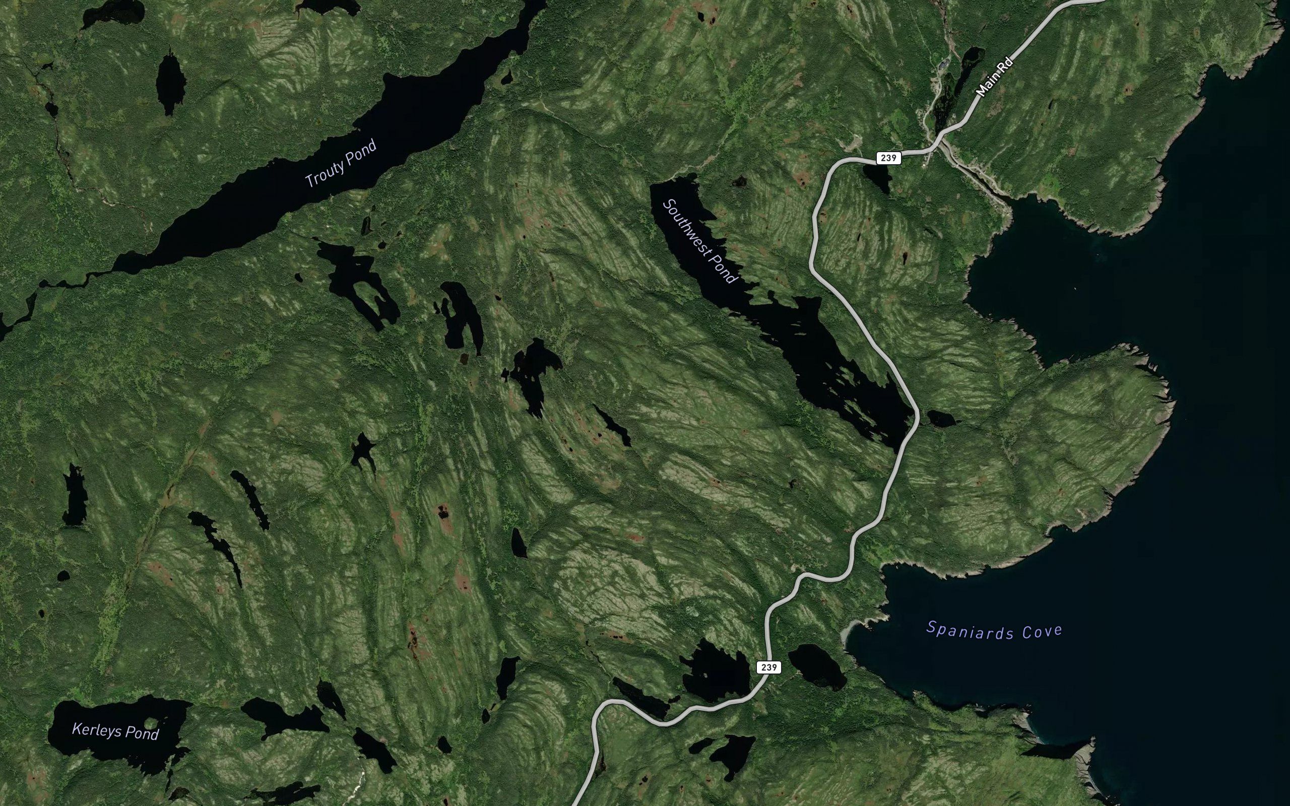 Trouty First Pond