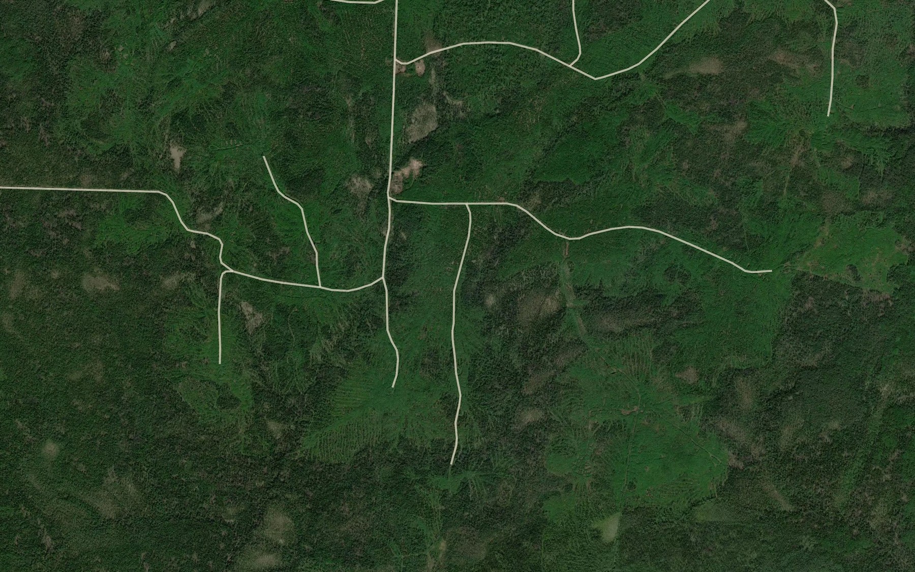 Satellite map of the Shonovo