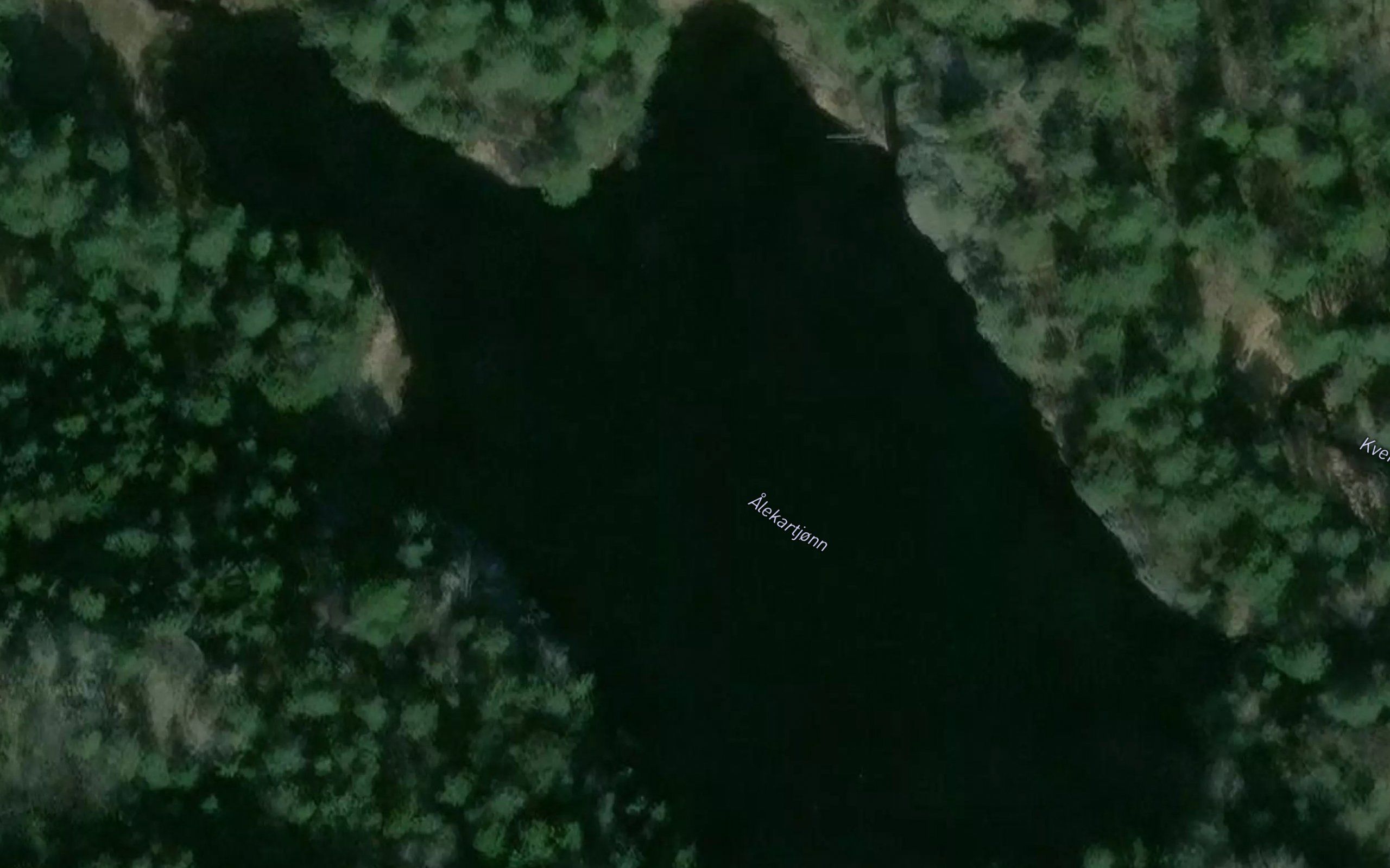 Alekartjonn
