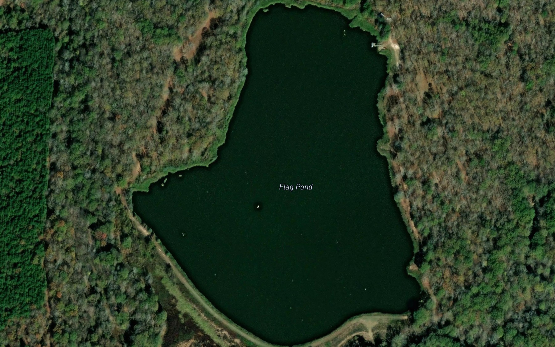 Satellite map of the Flag Pond