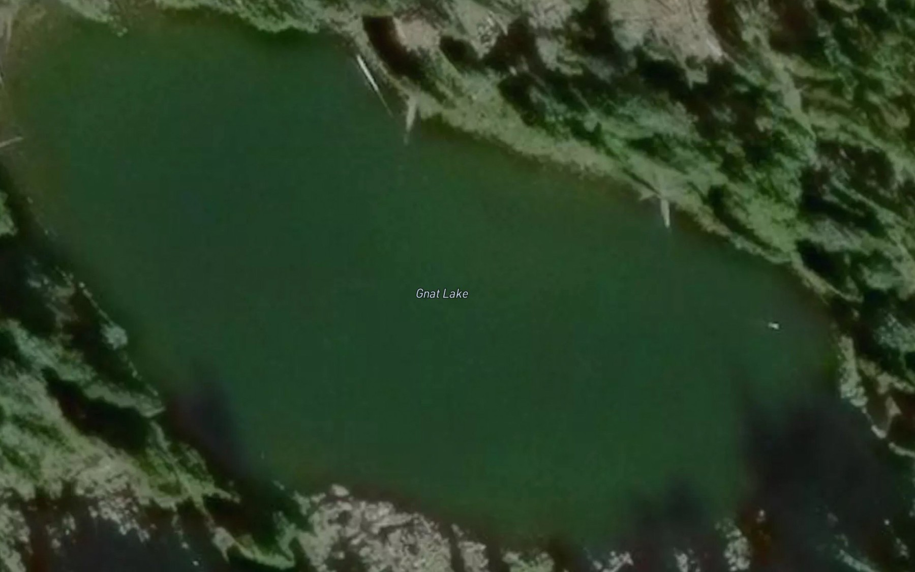 Satellite map of the Gnat Lake
