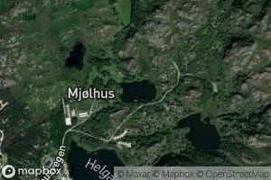 Mjolhustjorna