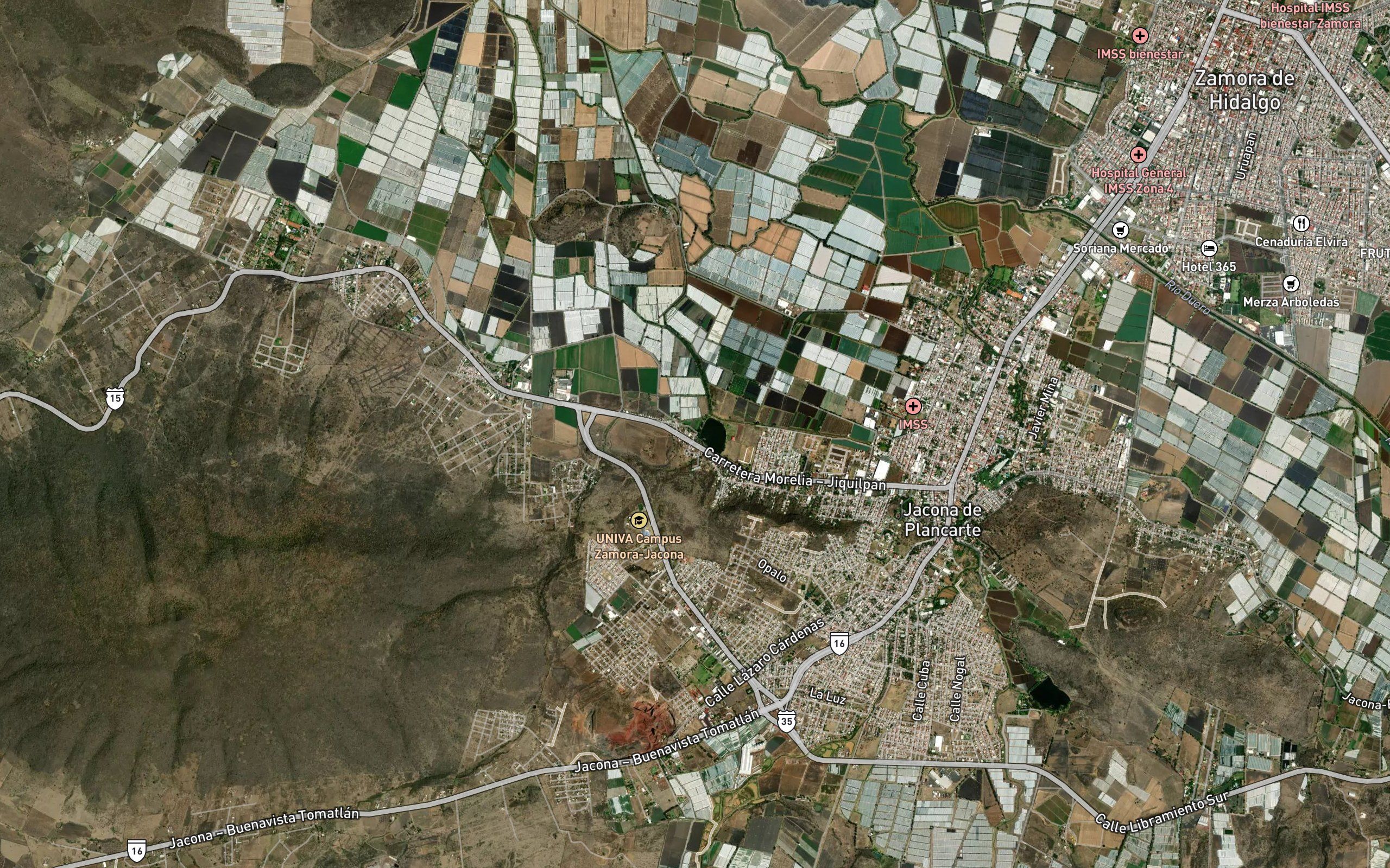 Orandino
