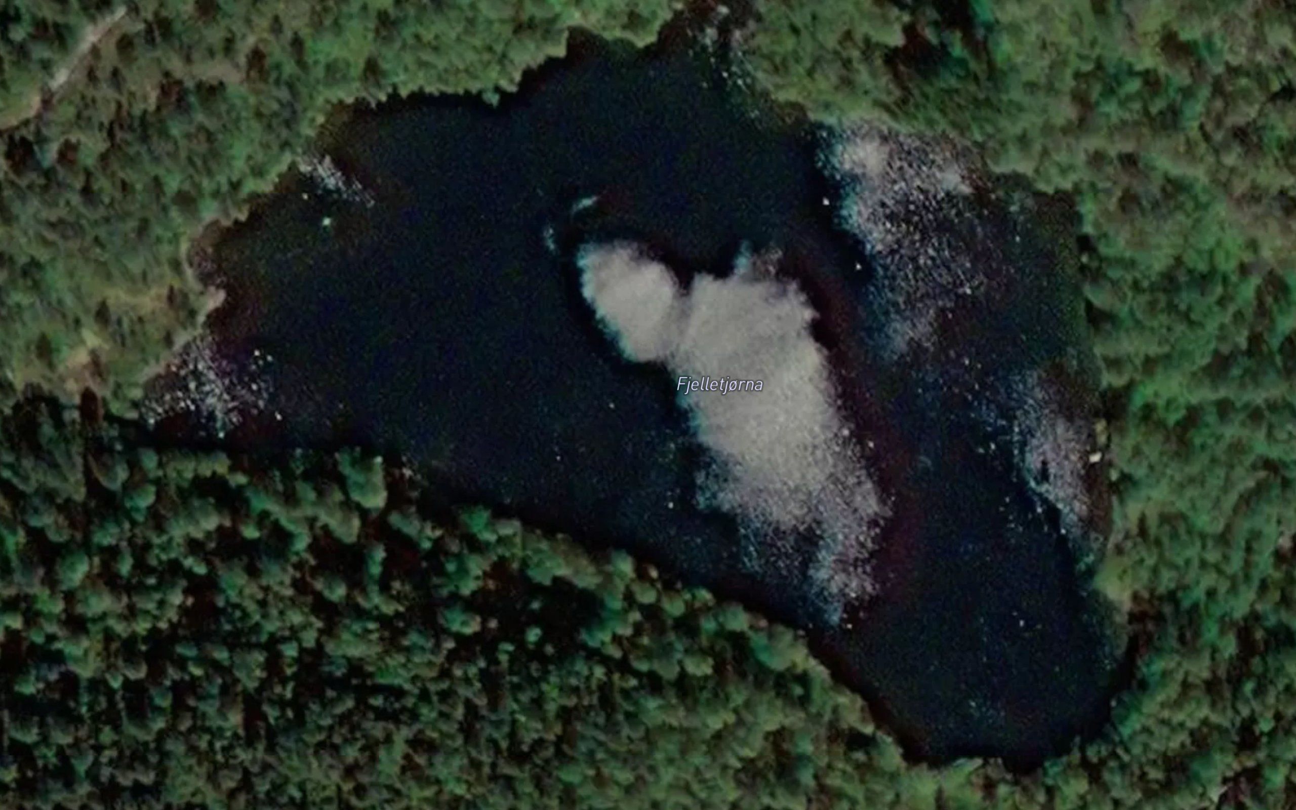 Fjelletjorna