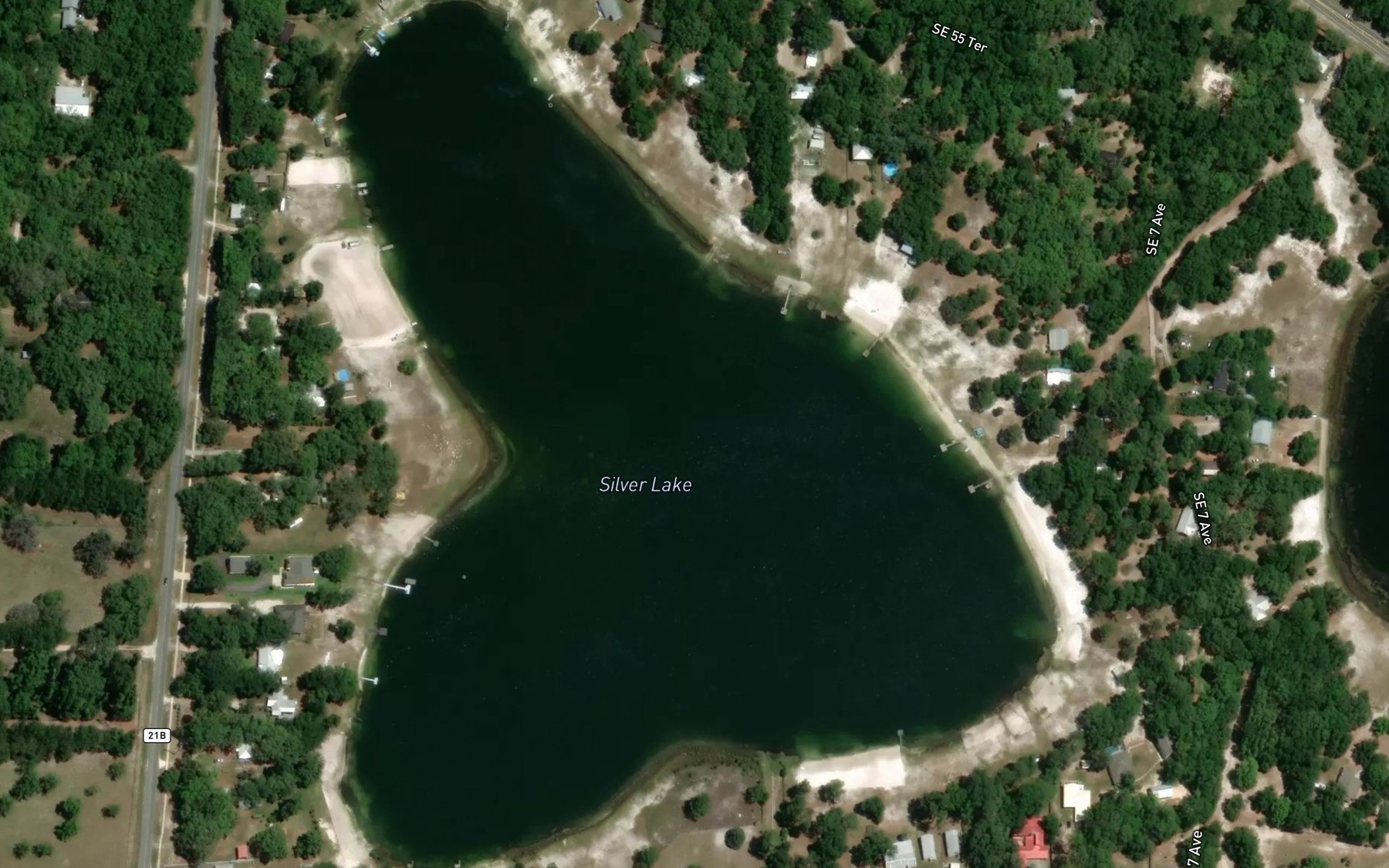 Satellite map of the Silver Lake