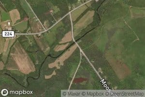 Millen Brook