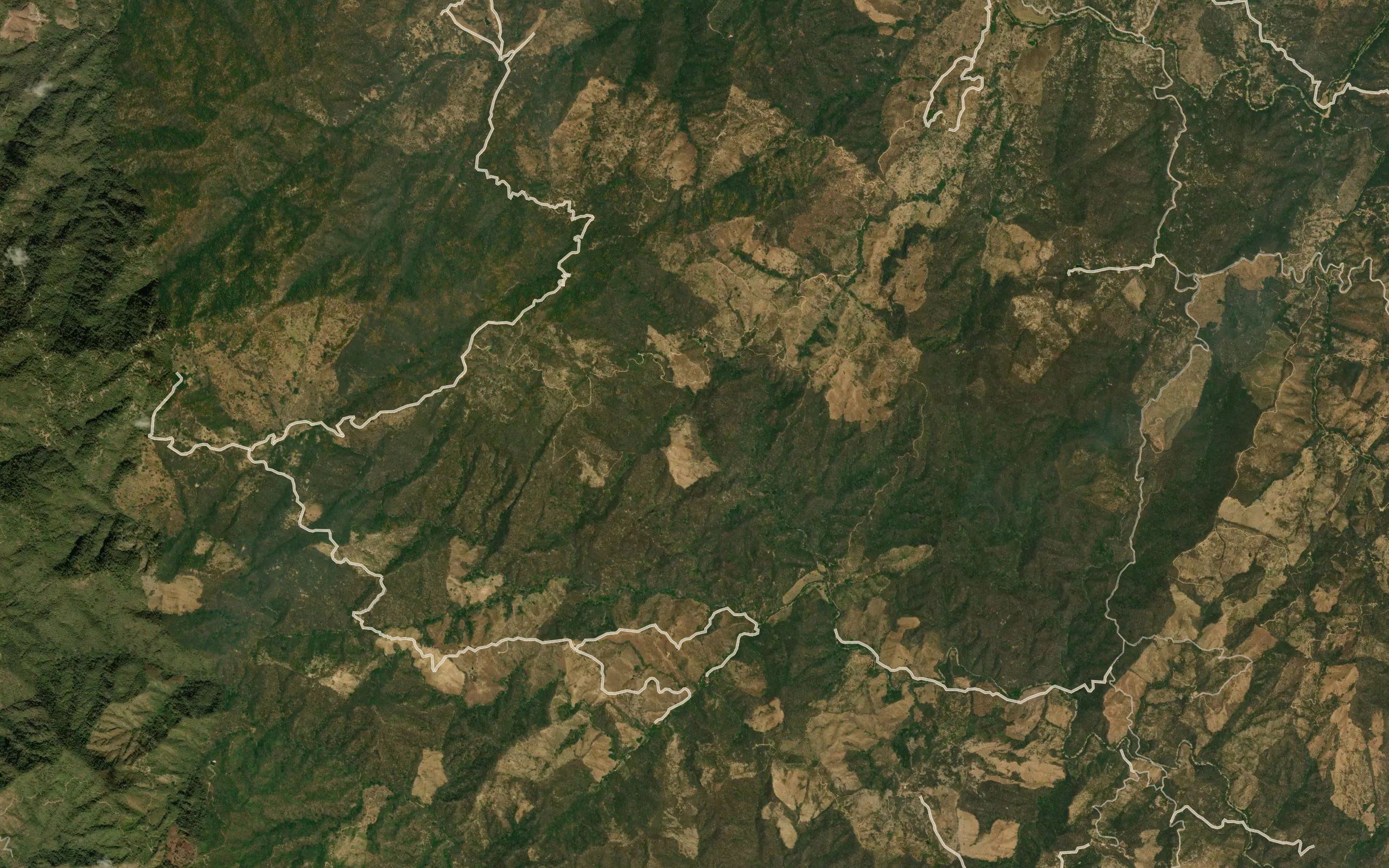 Barranca Los Platanitos