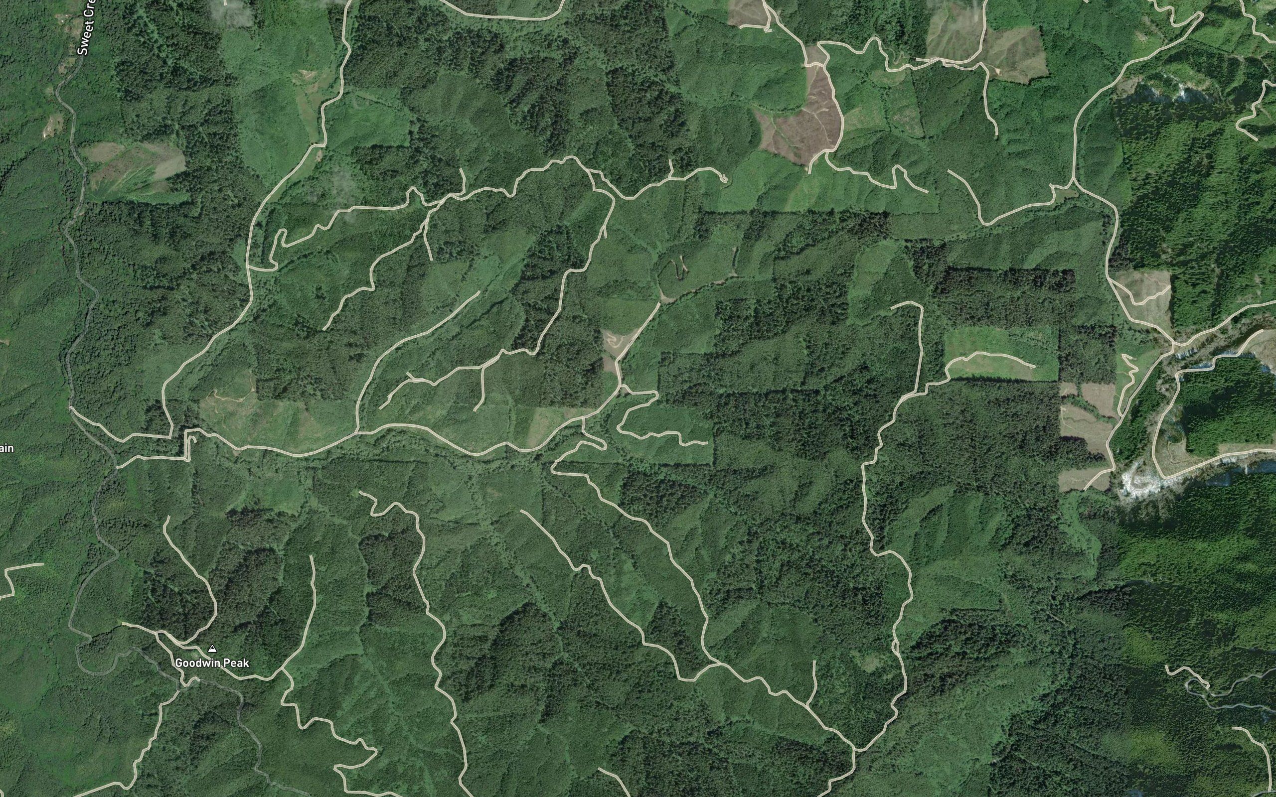 South Fork Sweet Creek
