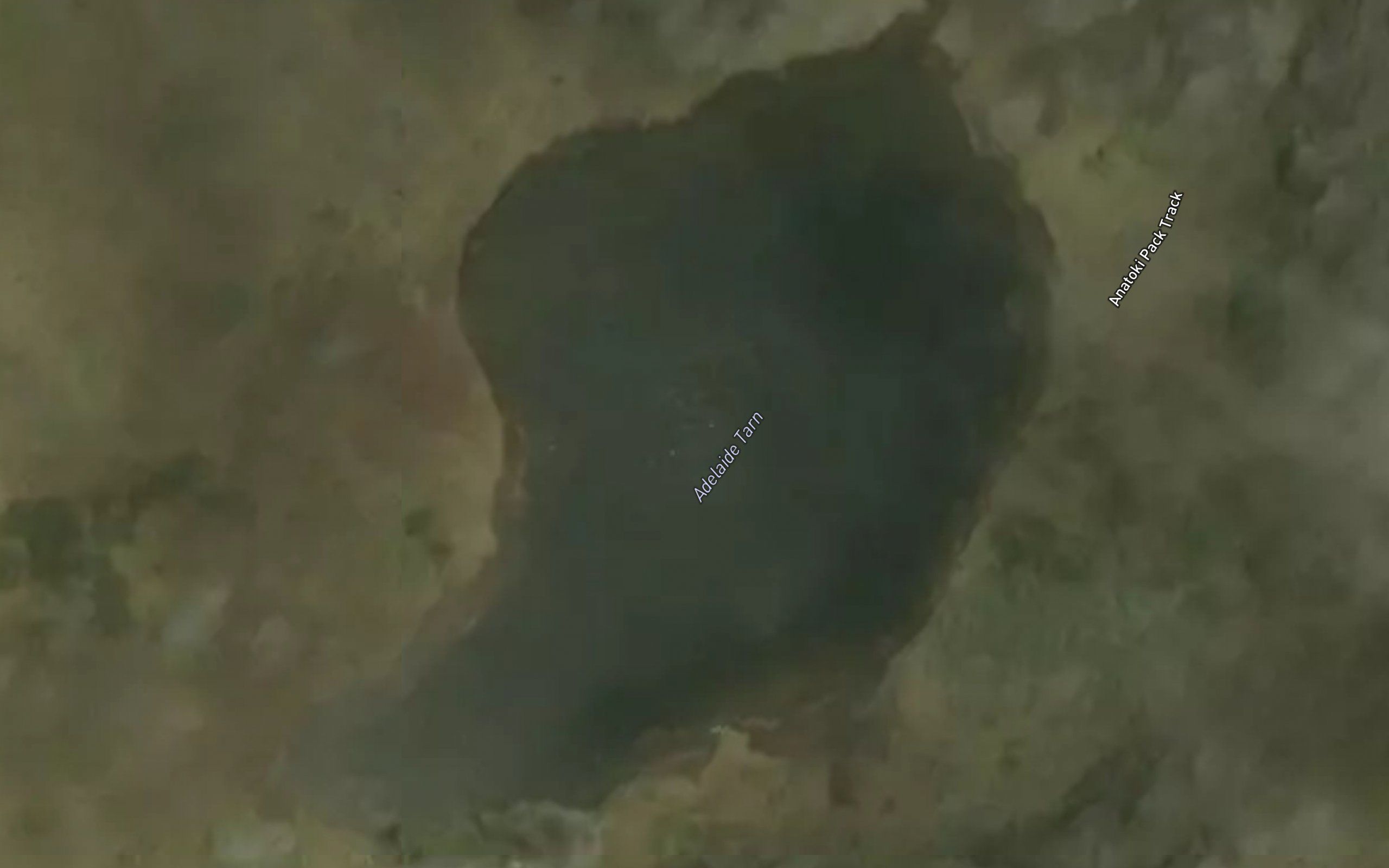 Adelaide Tarn