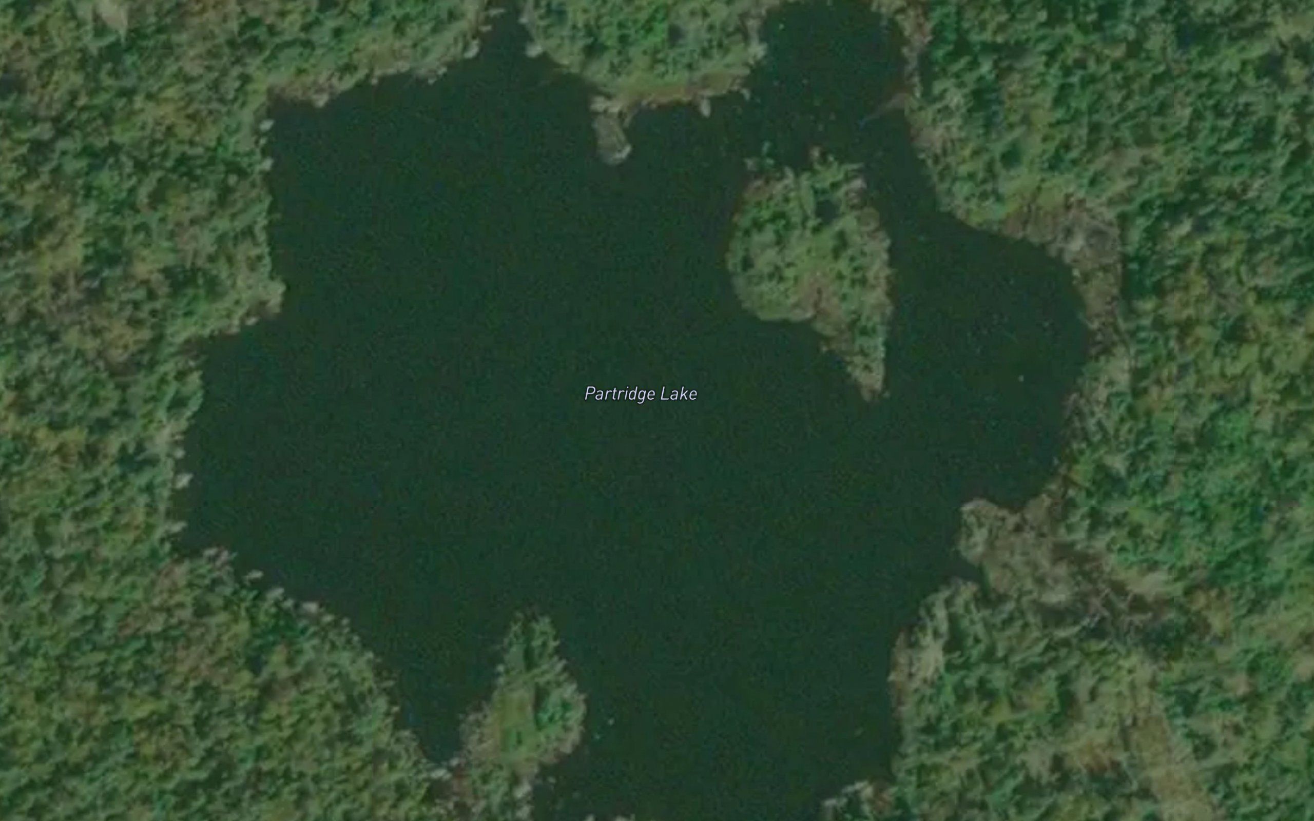 Partridge Lake