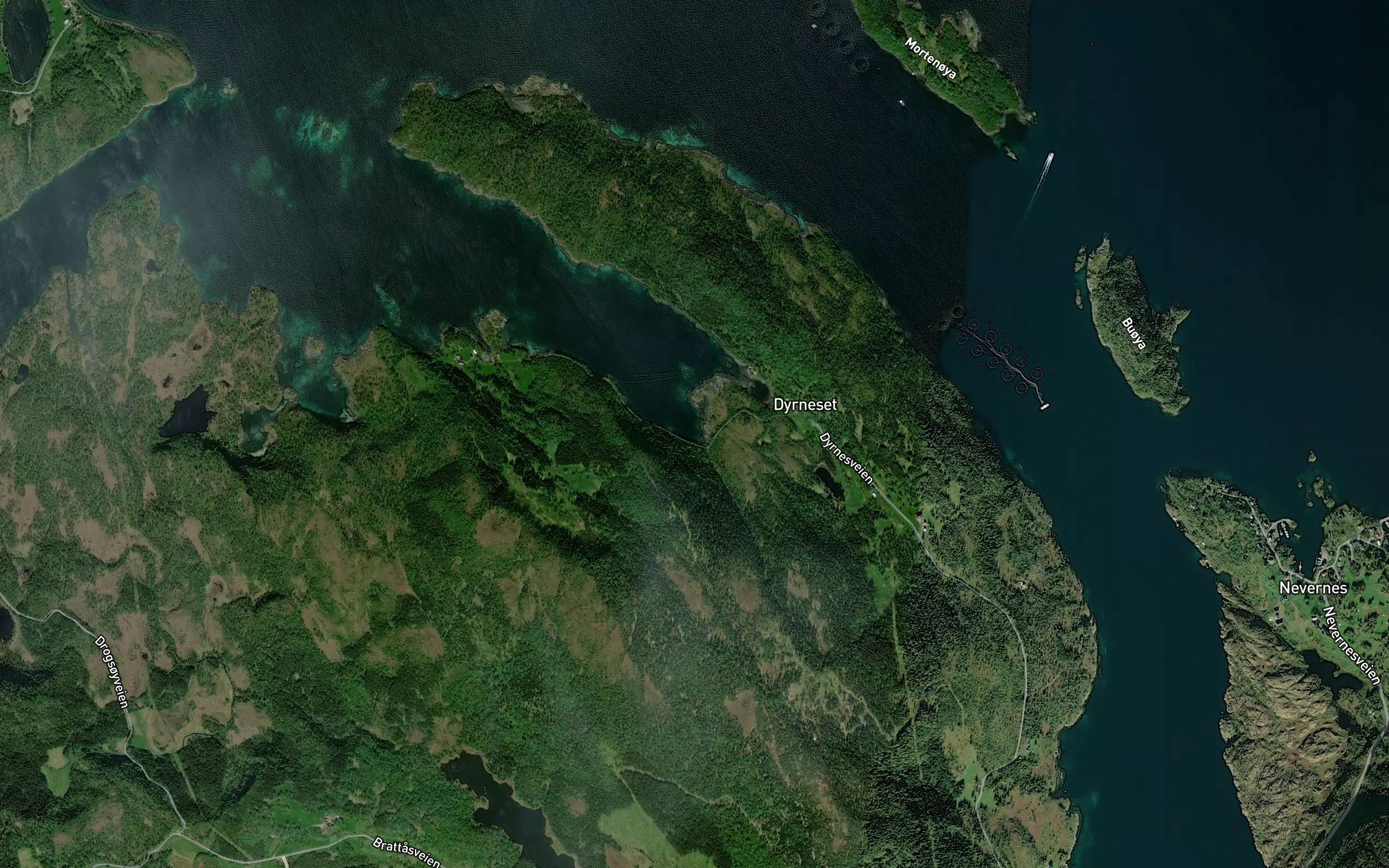 Urvika