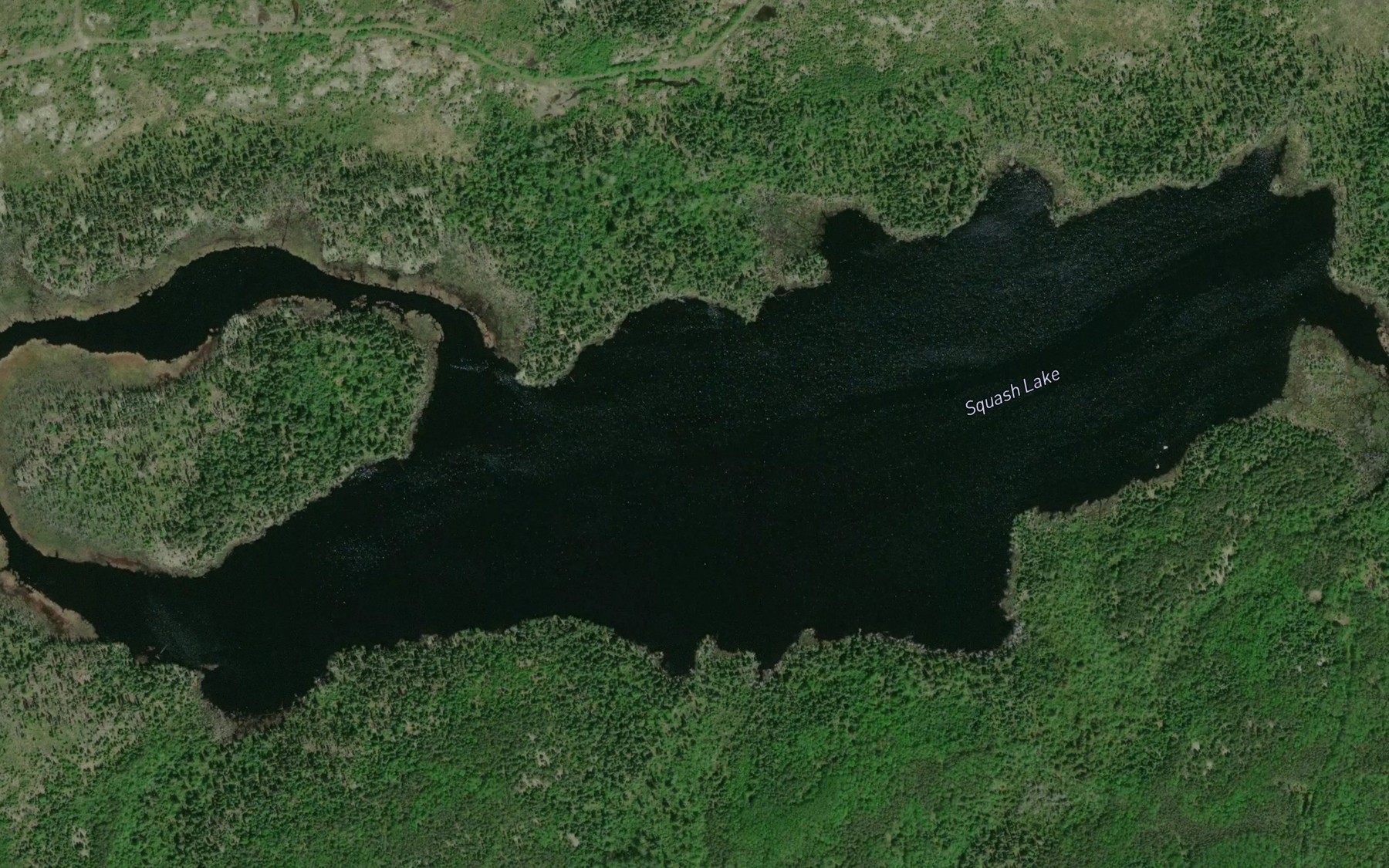 Satellite map of the Squash Lake