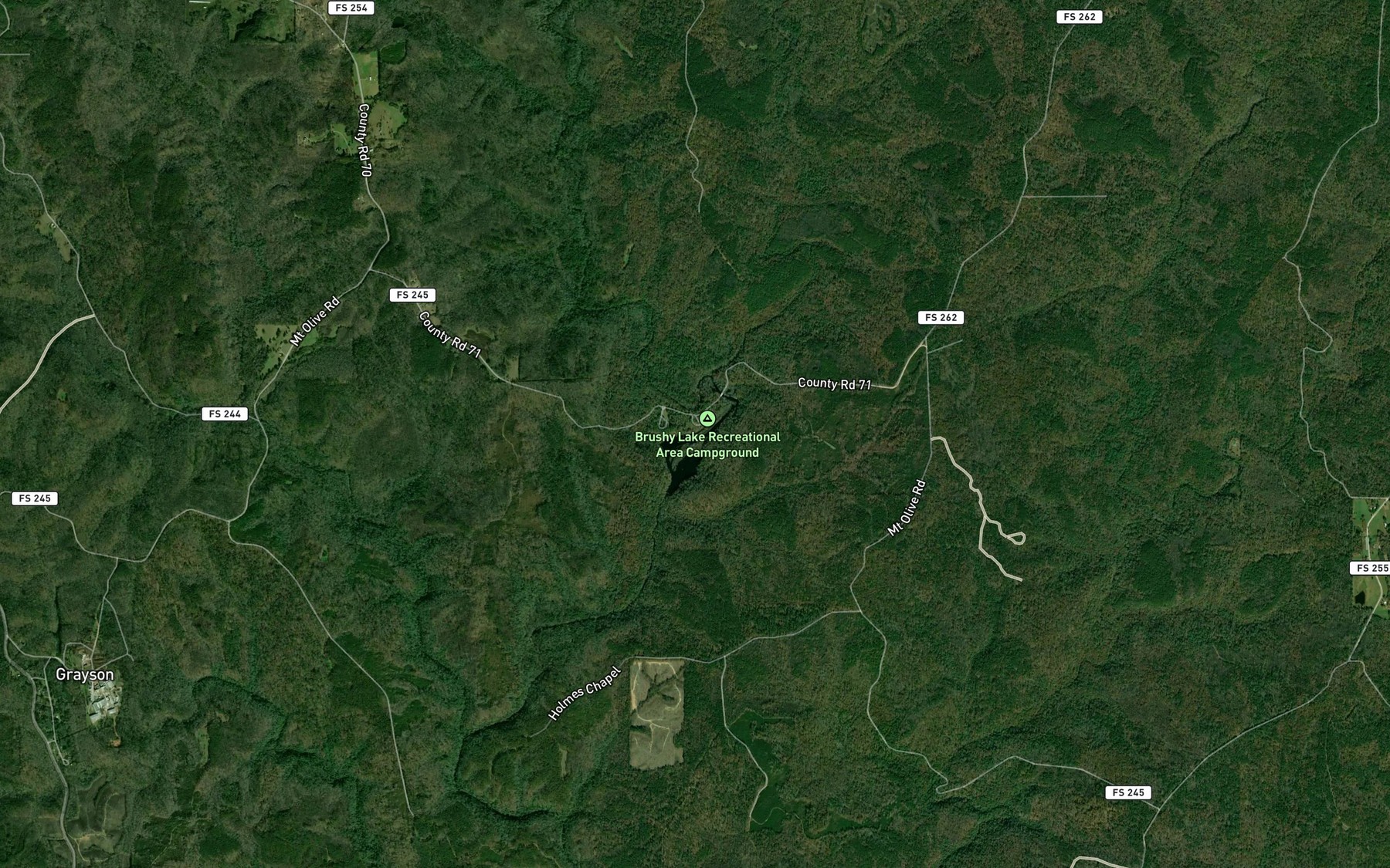 Satellite map of the Brushy Creek Lake