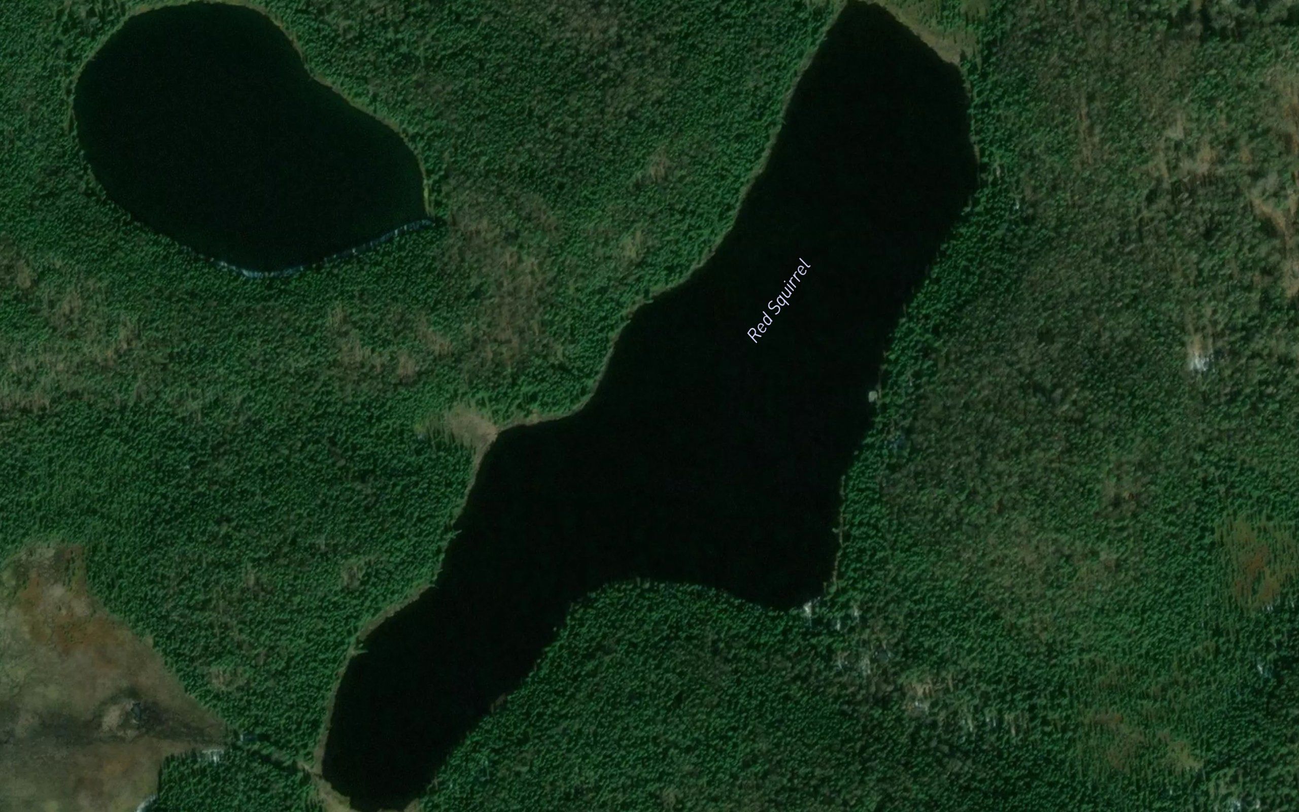 Red Squirrel Lake