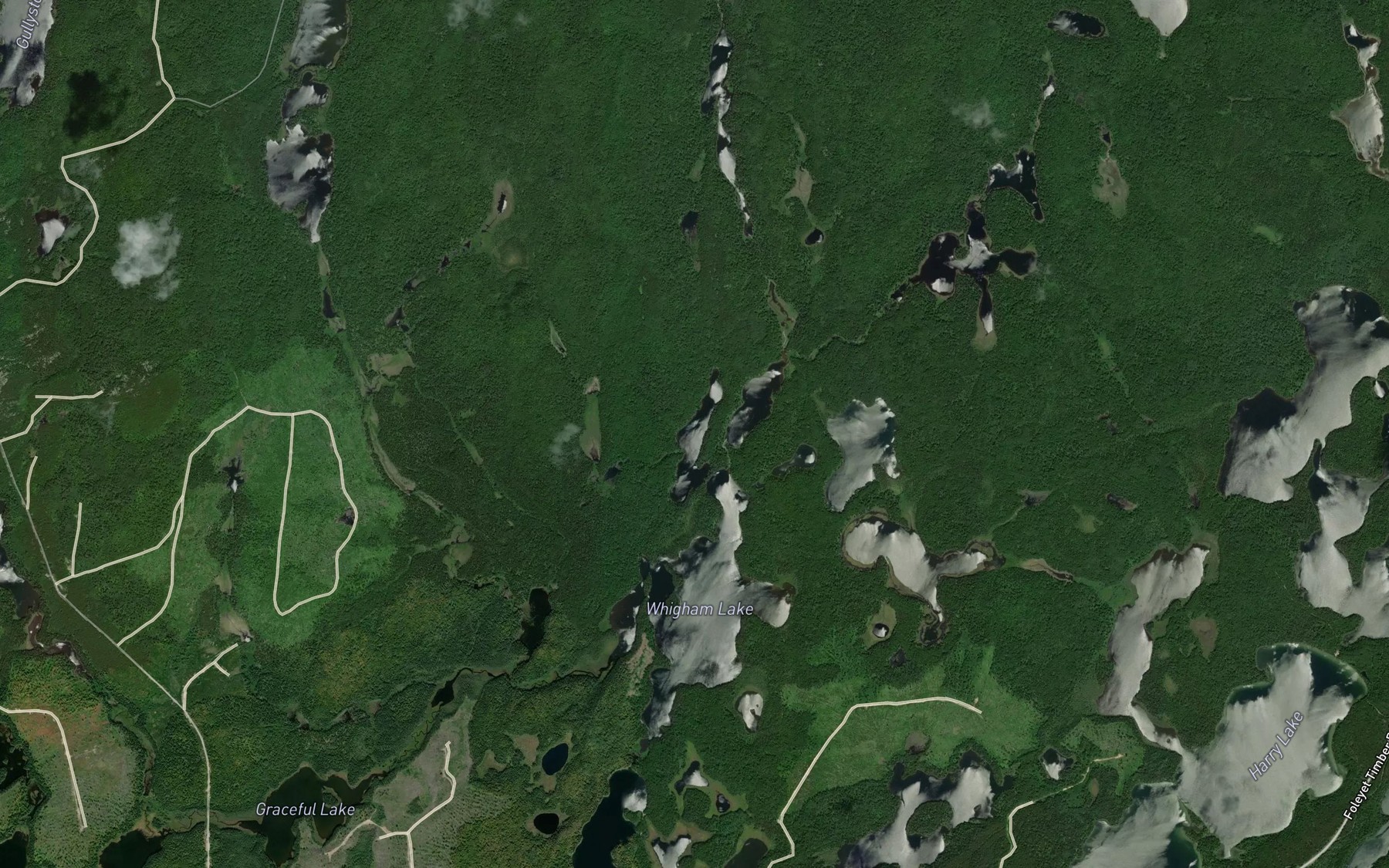 Satellite map of the Offset Lake