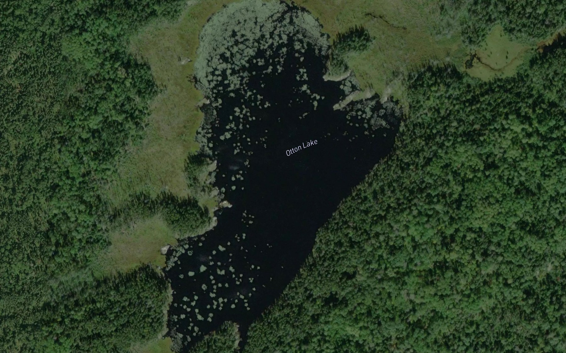 Satellite map of the Otton Lake